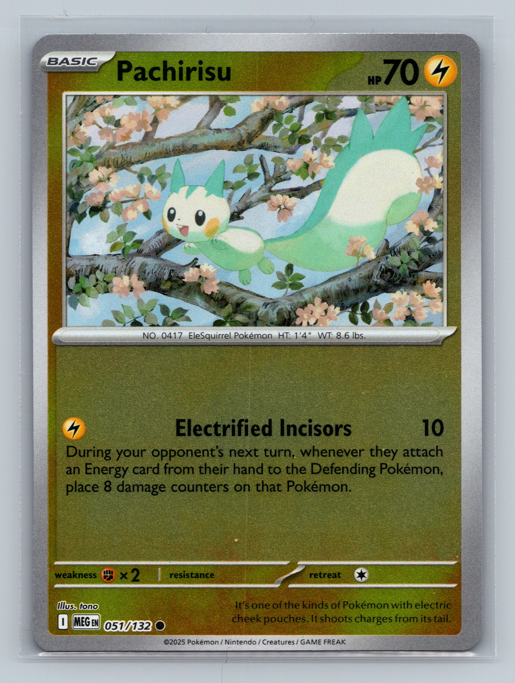 Pachirisu
