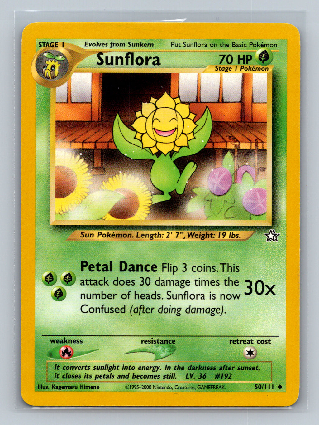 Sunflora