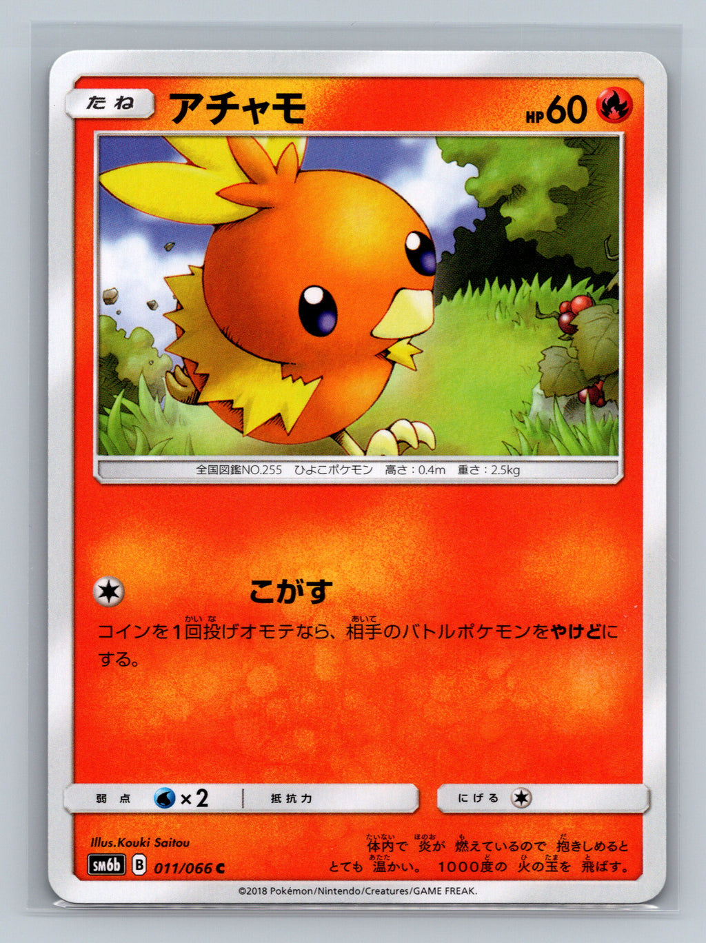 Torchic