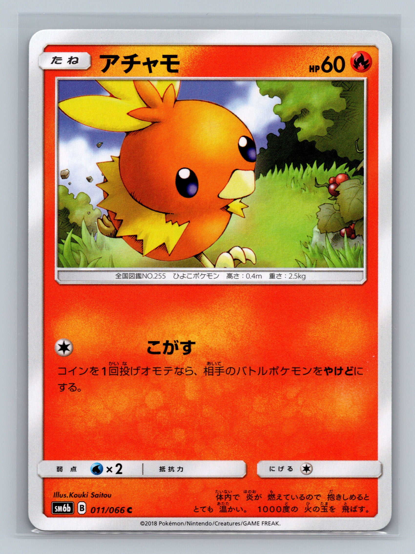 Torchic