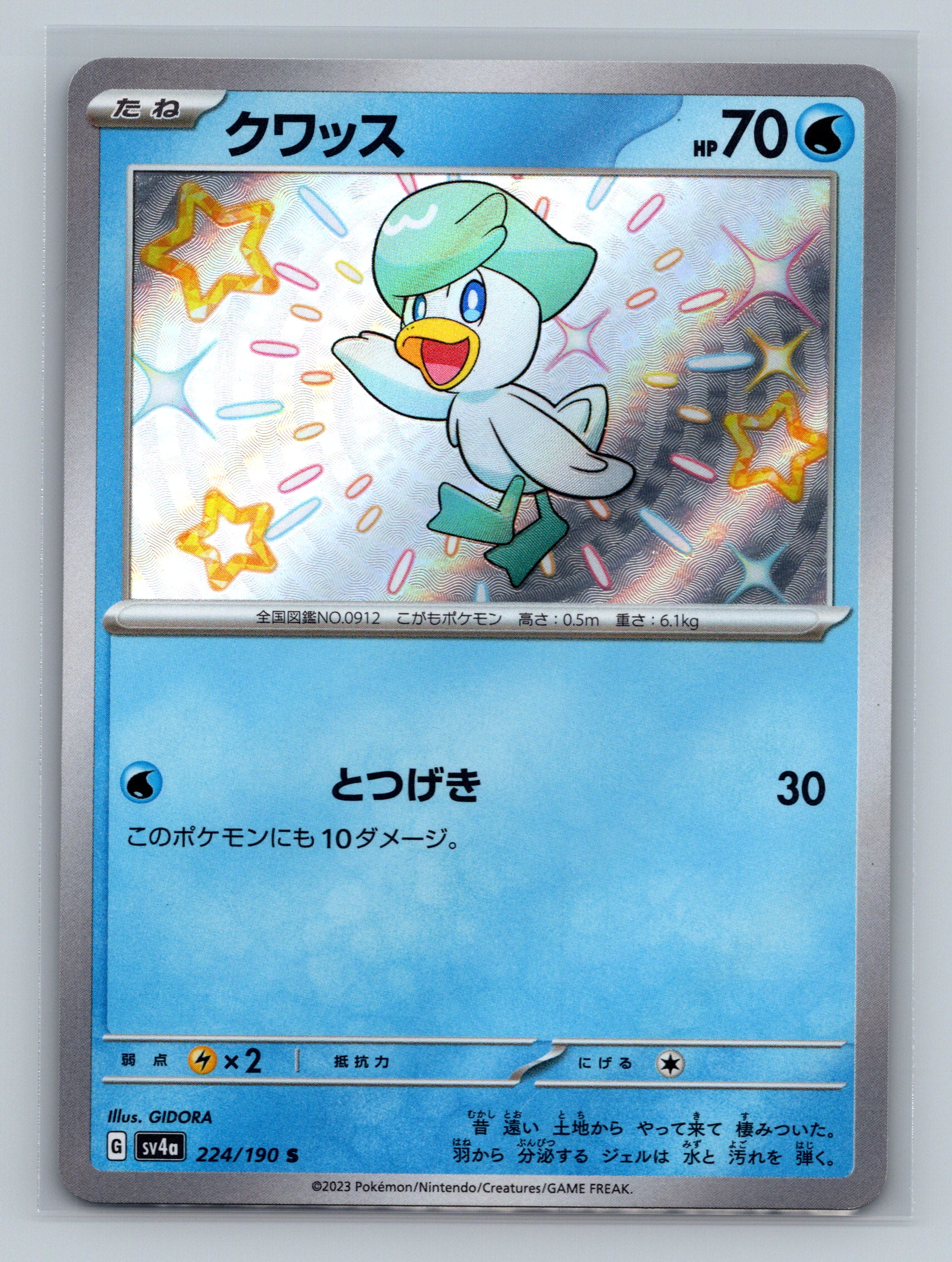 Quaxly - 224/190