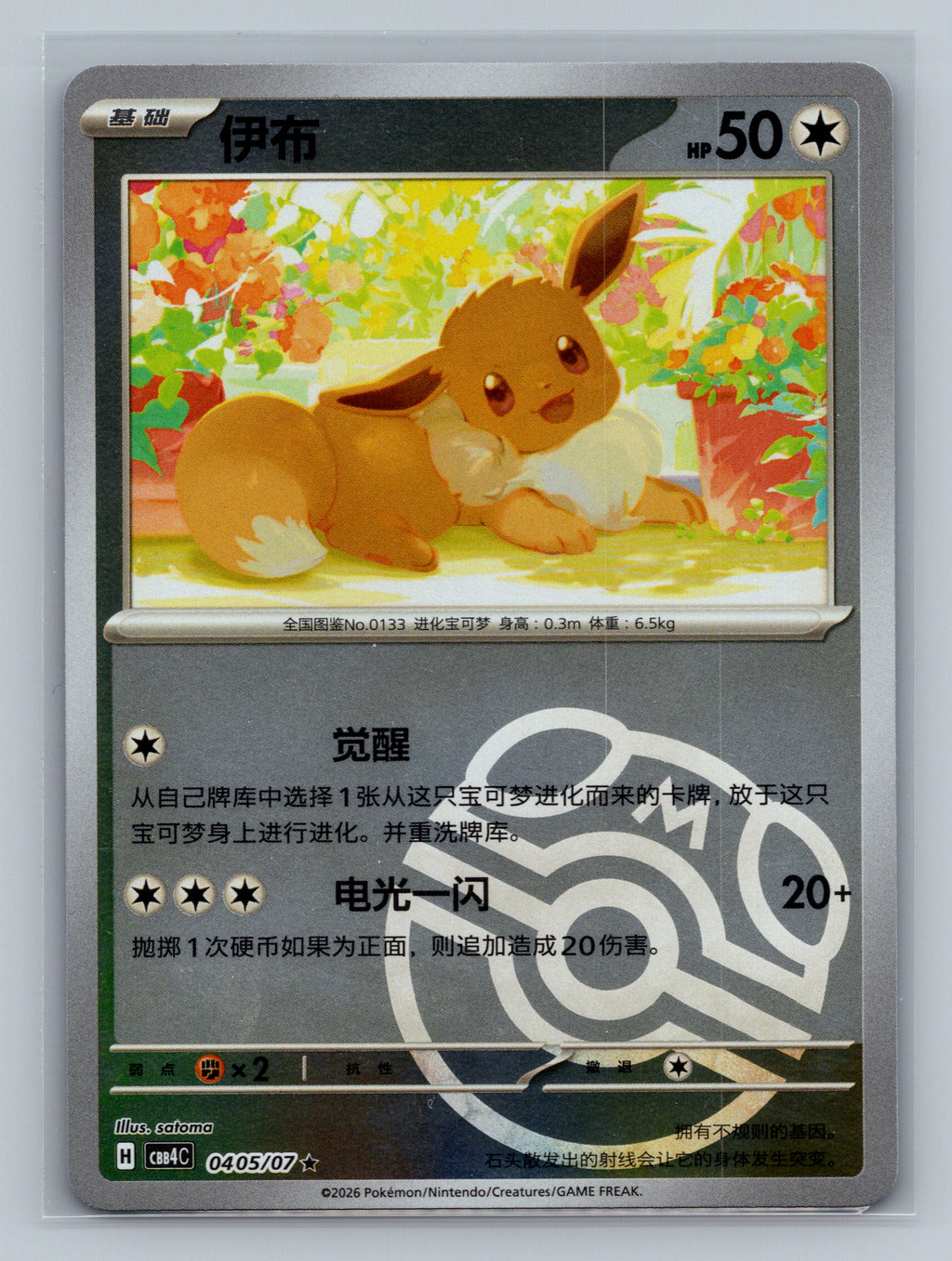 Eevee - 405