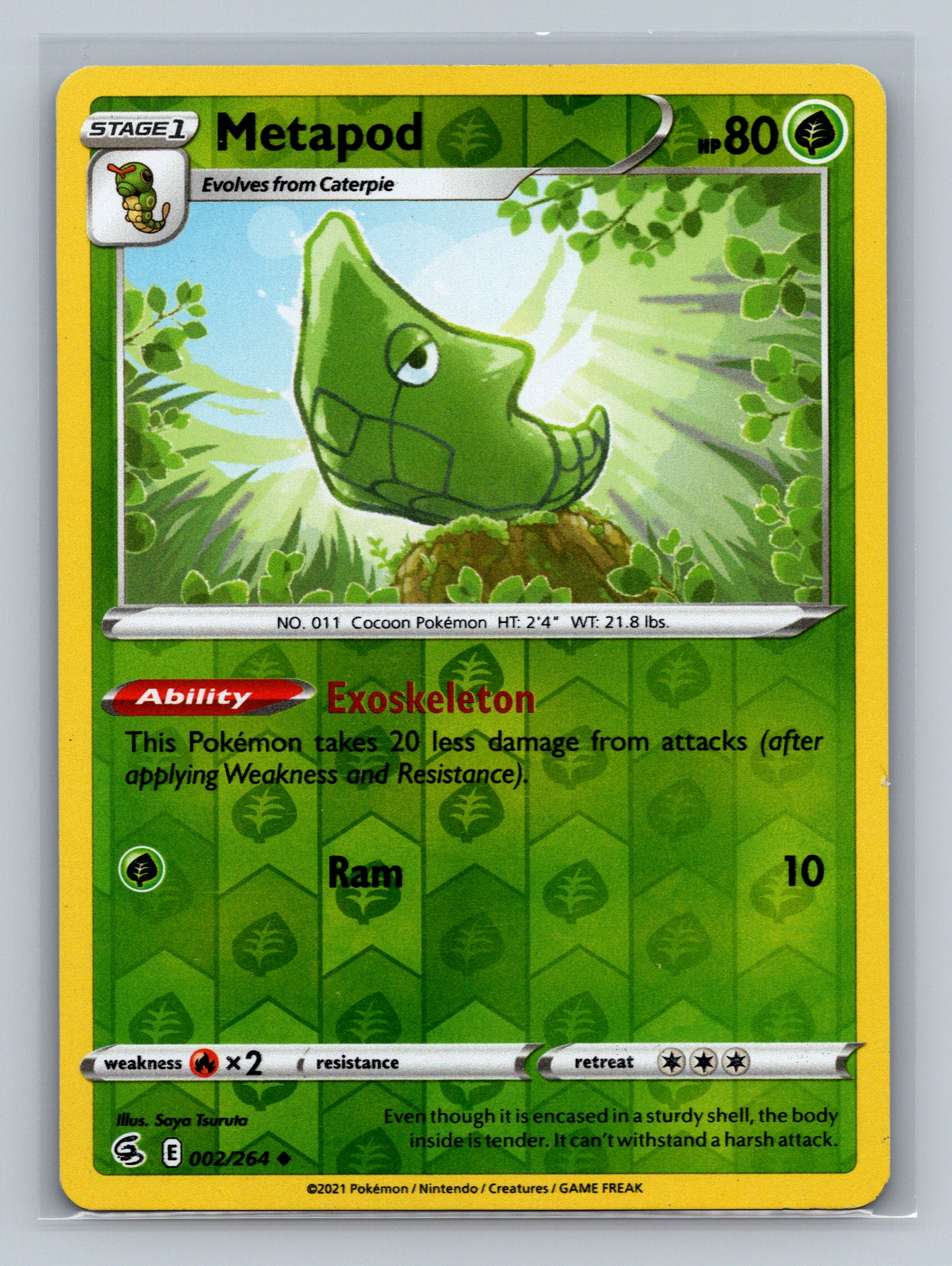 Metapod