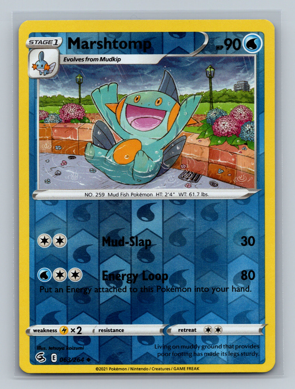 Marshtomp