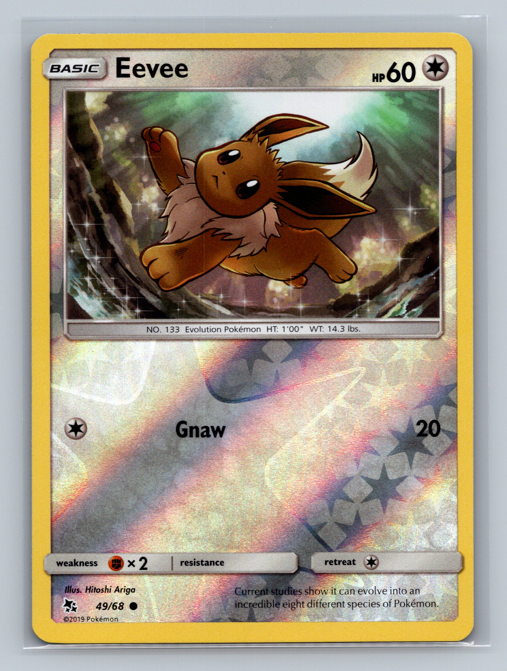 Eevee (49)