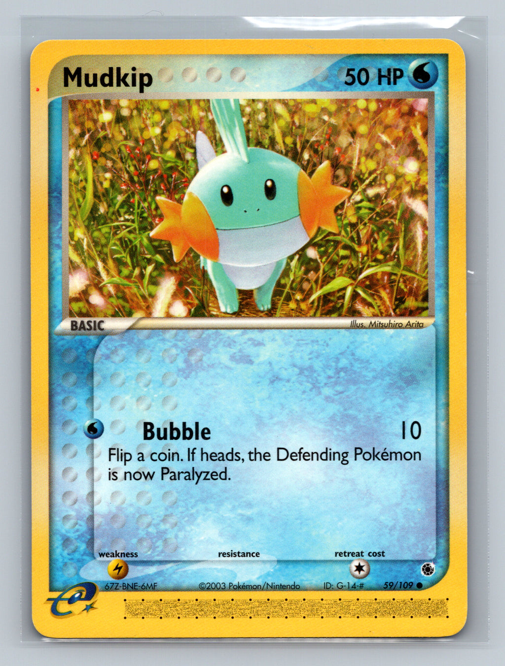 Mudkip - 59/109