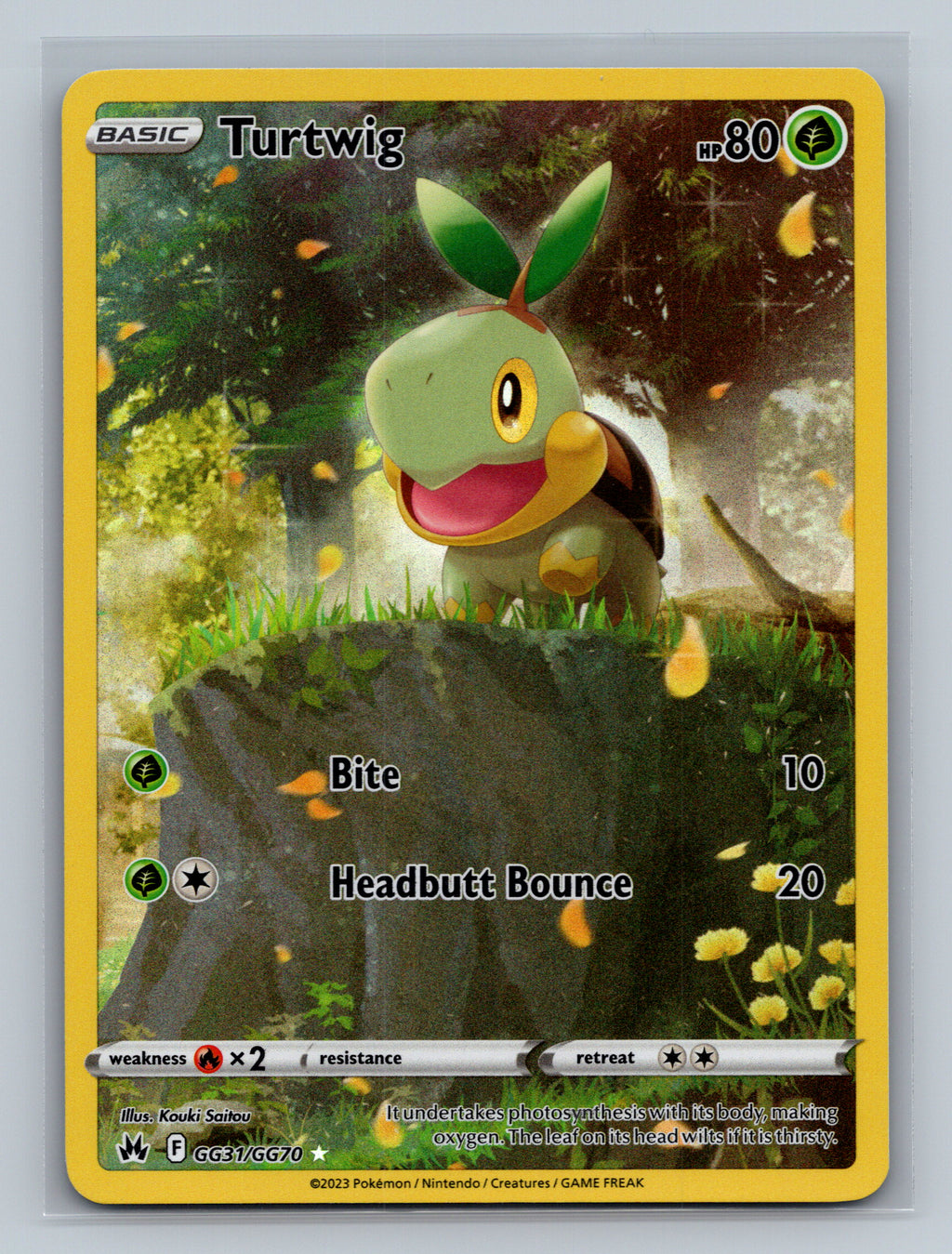 Turtwig