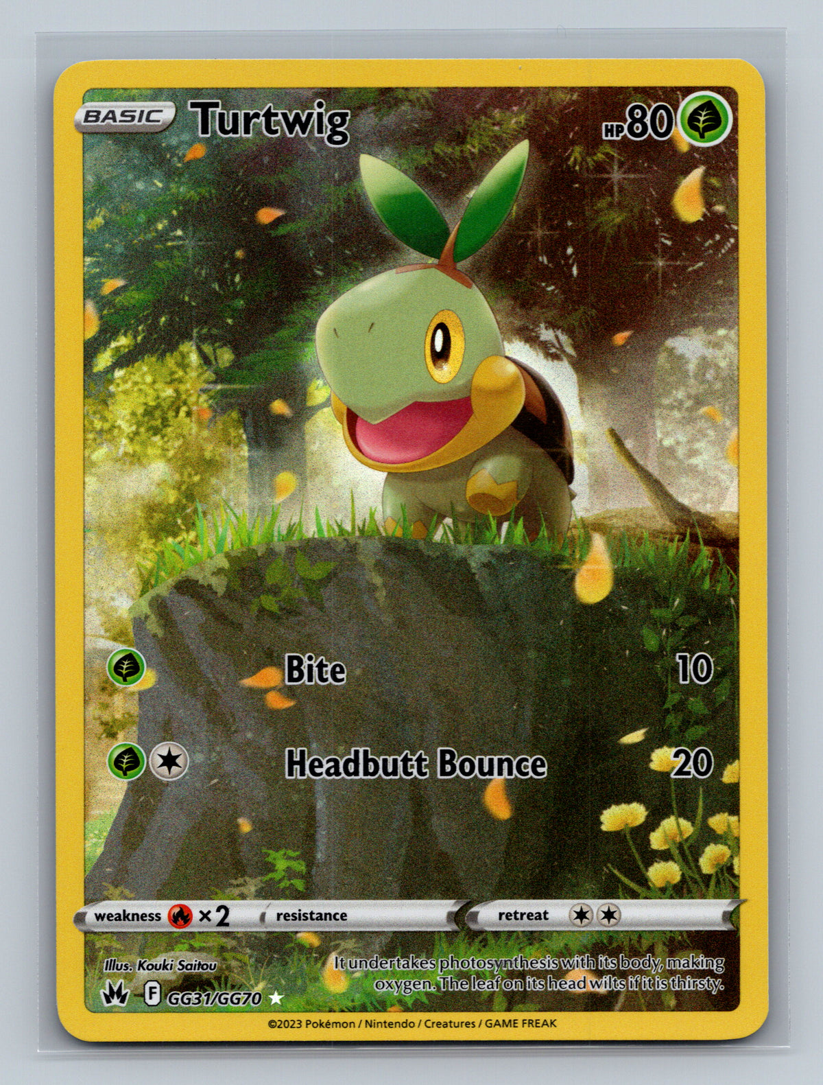 Turtwig