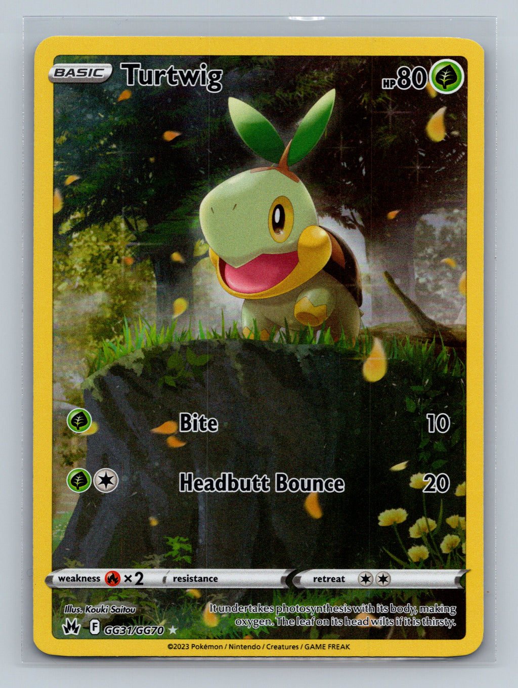 Turtwig