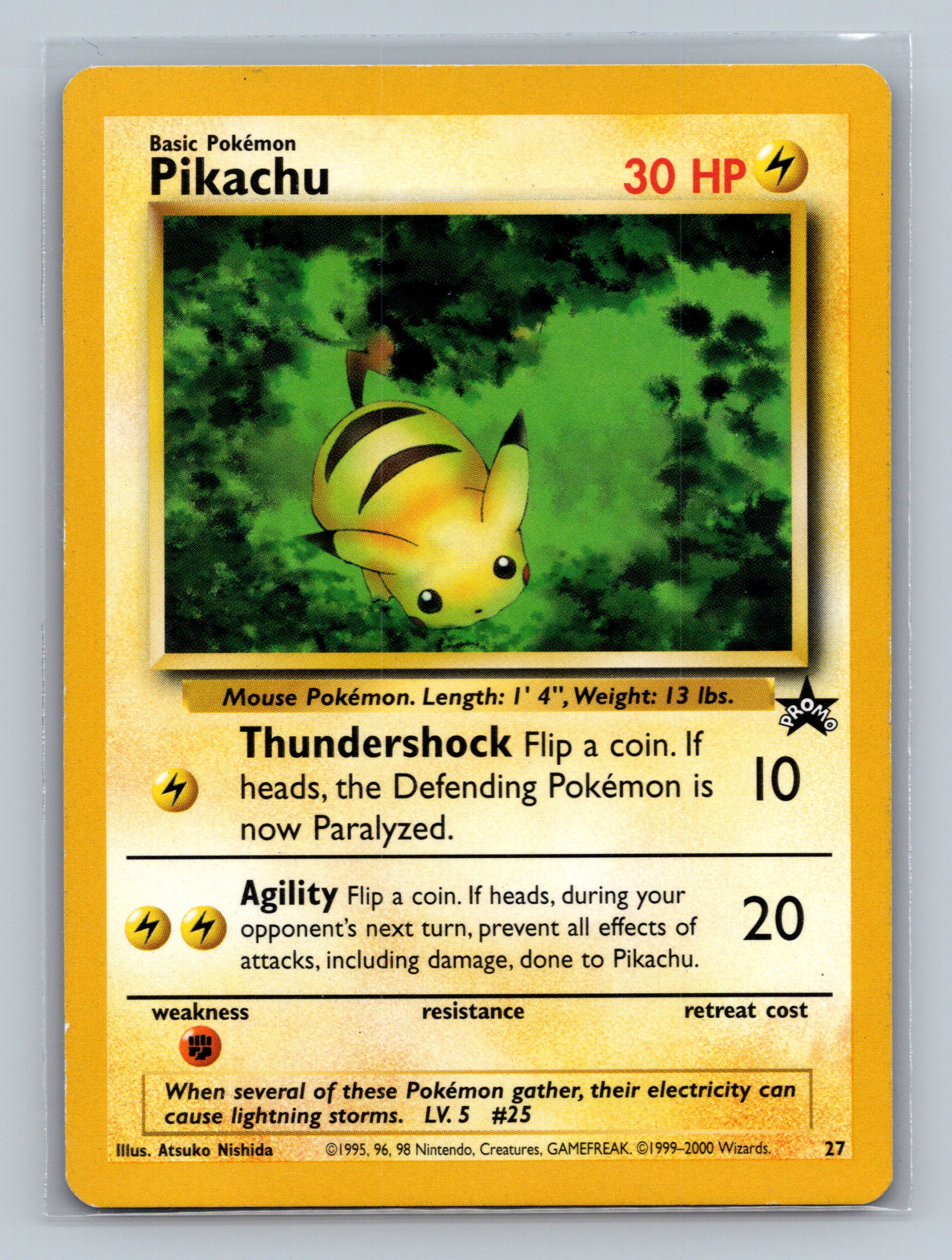 Pikachu (27)