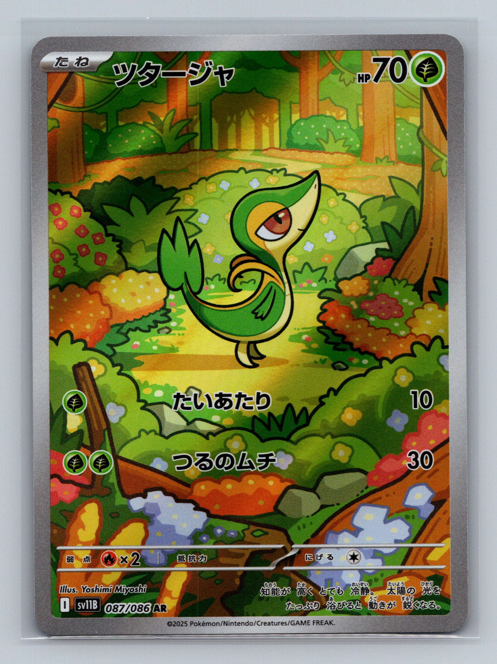 Snivy - 087/086