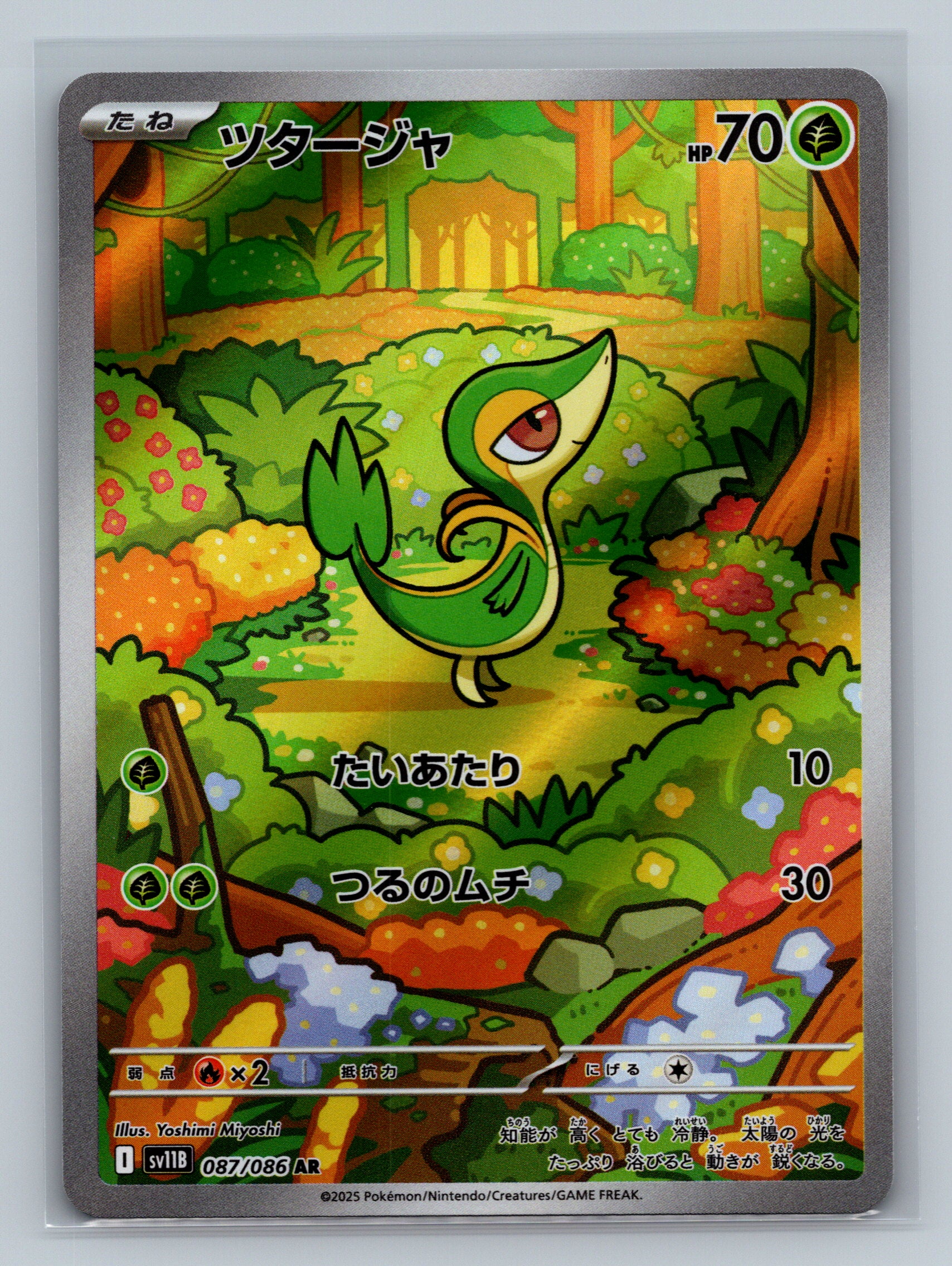 Snivy - 087/086