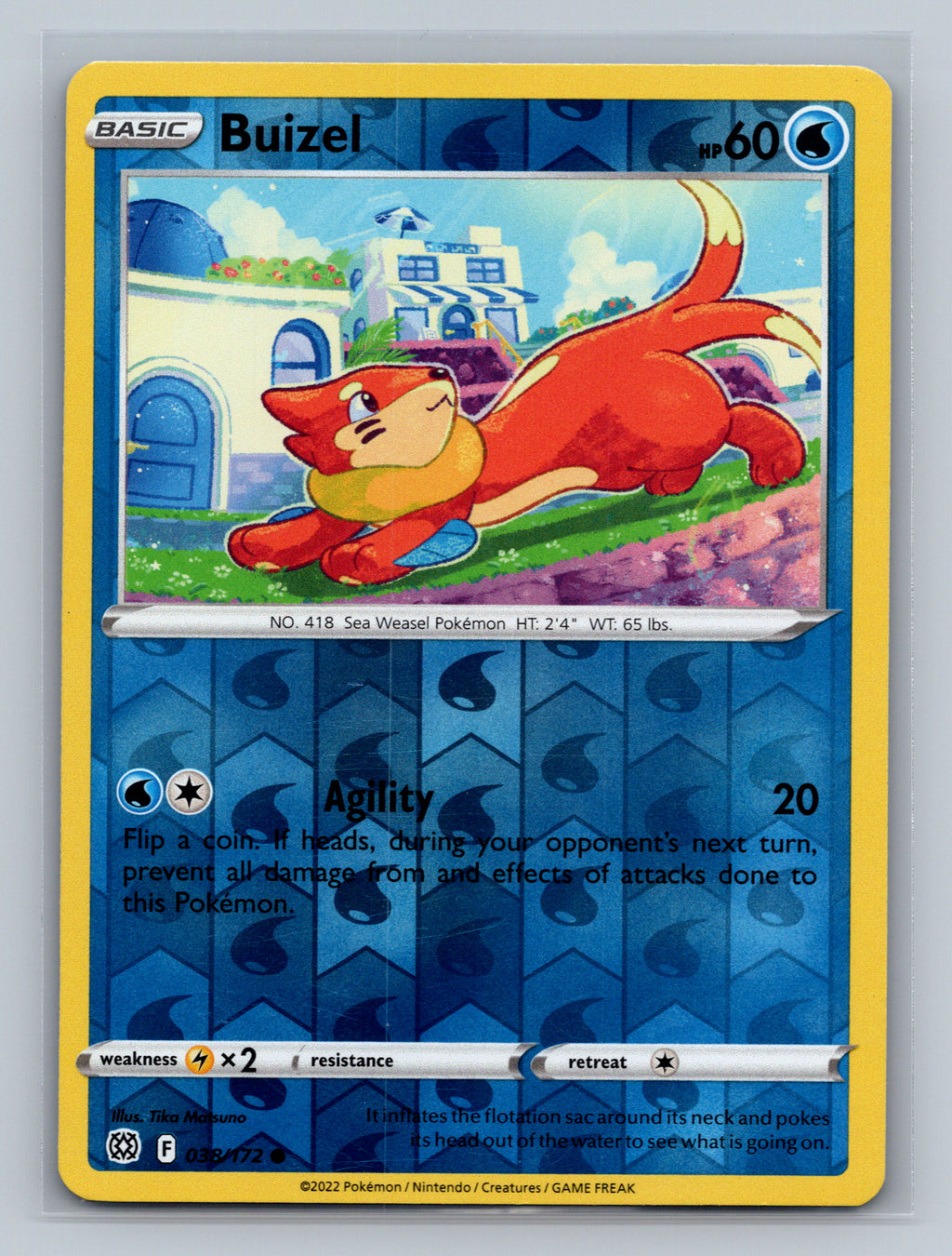 Buizel