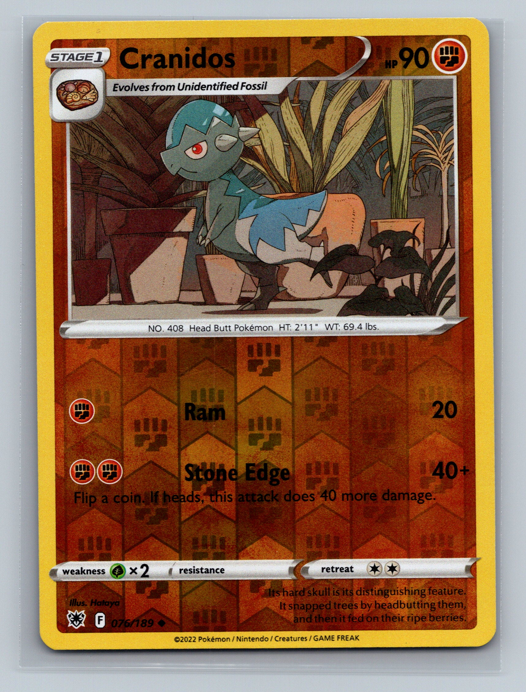 Cranidos
