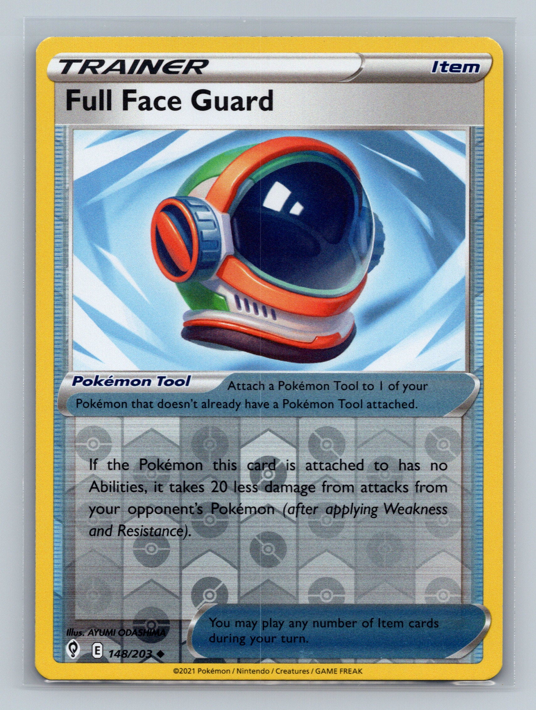 Full Face Guard