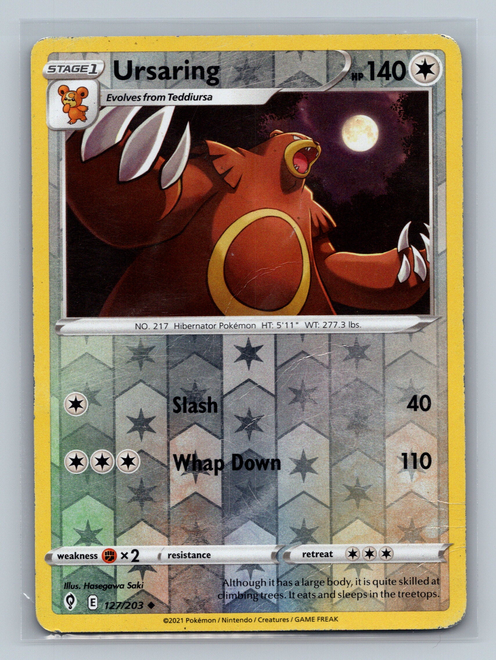 Ursaring