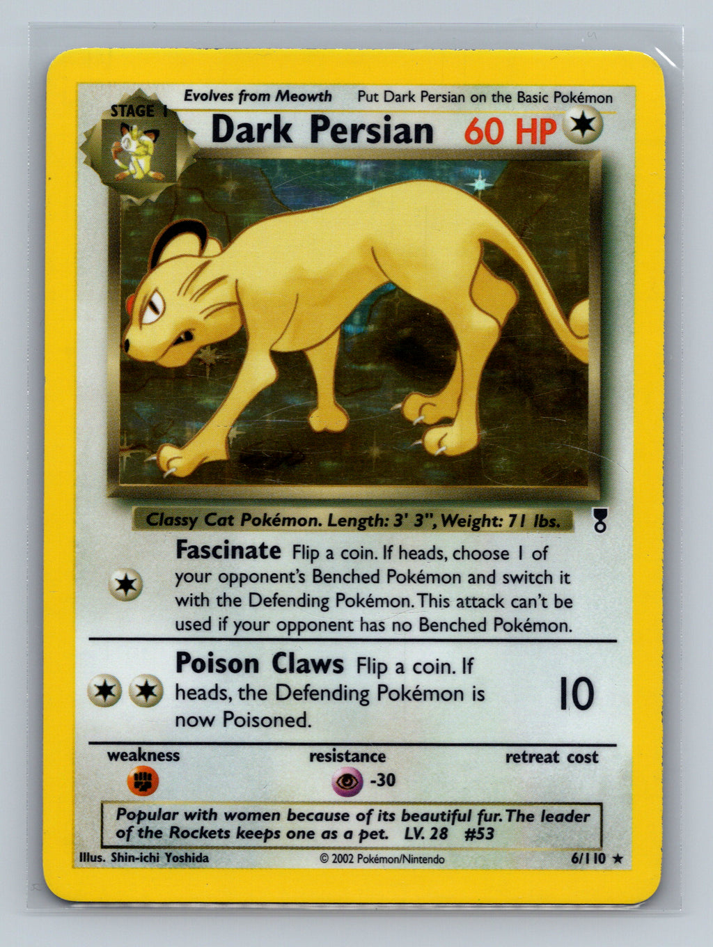 Dark Persian