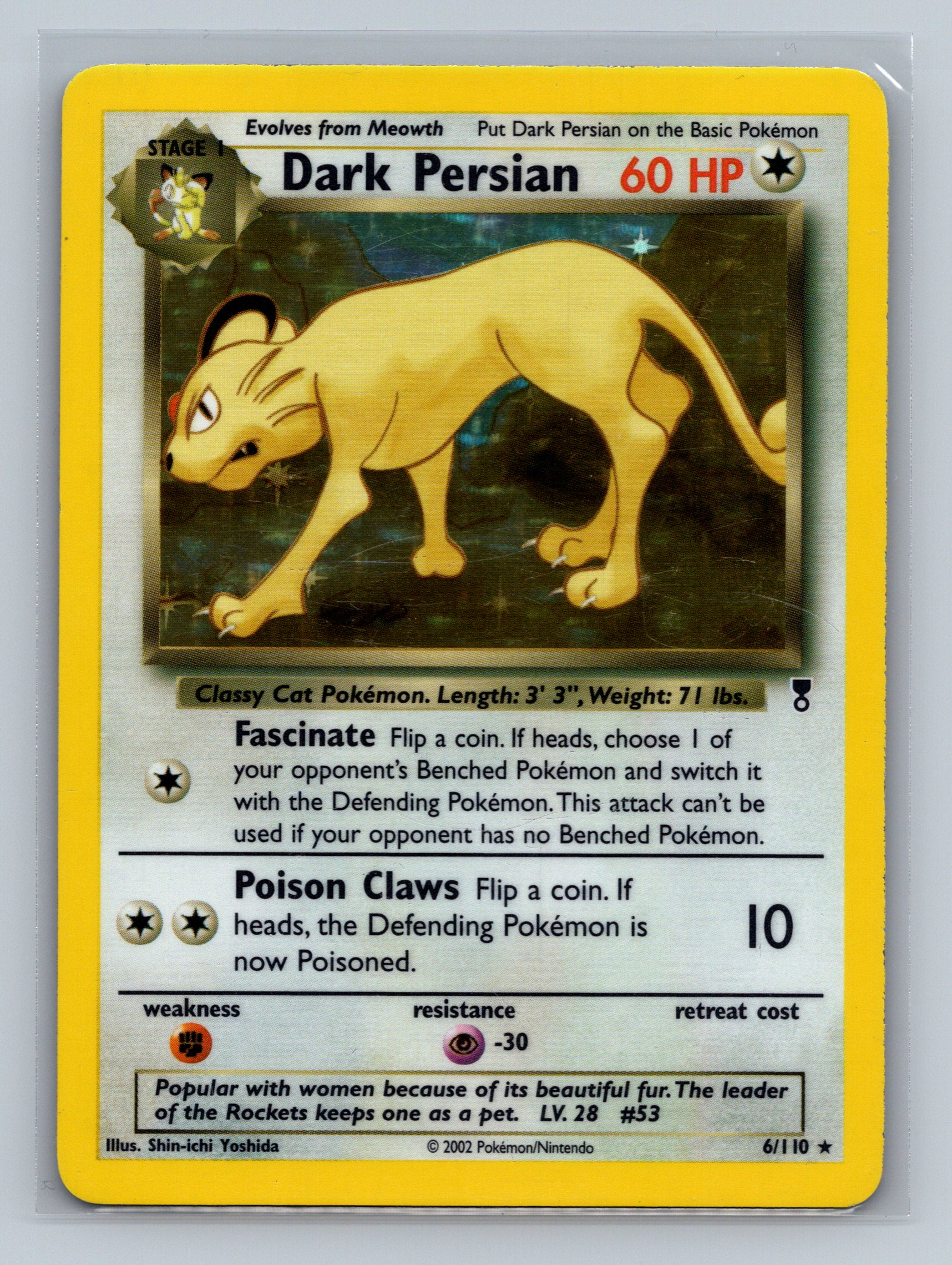 Dark Persian