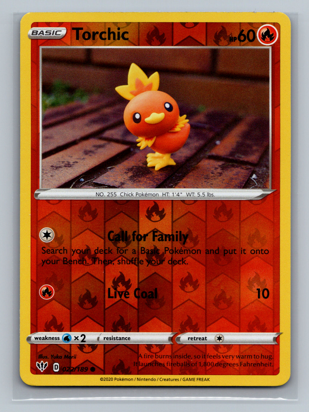 Torchic