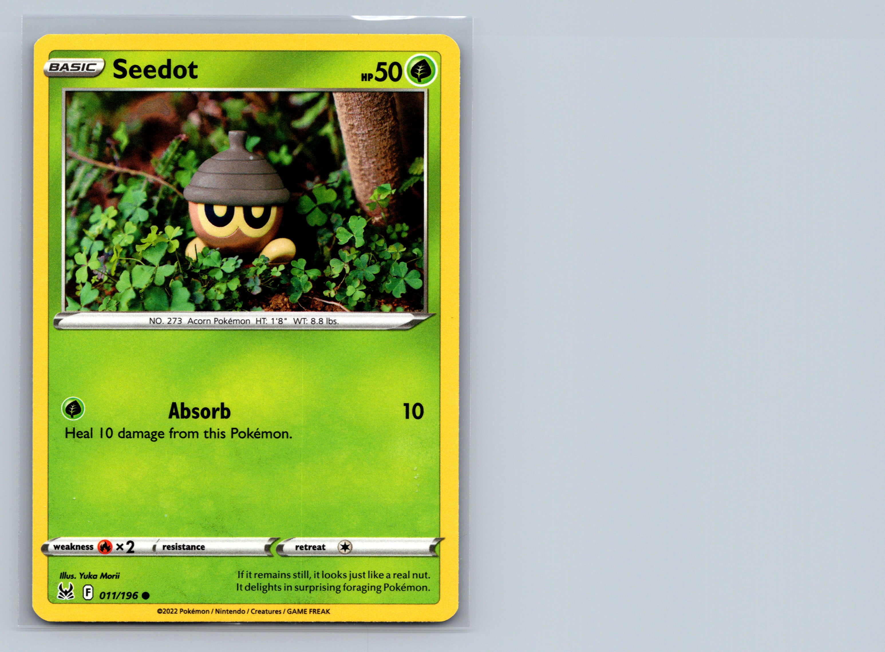 Seedot