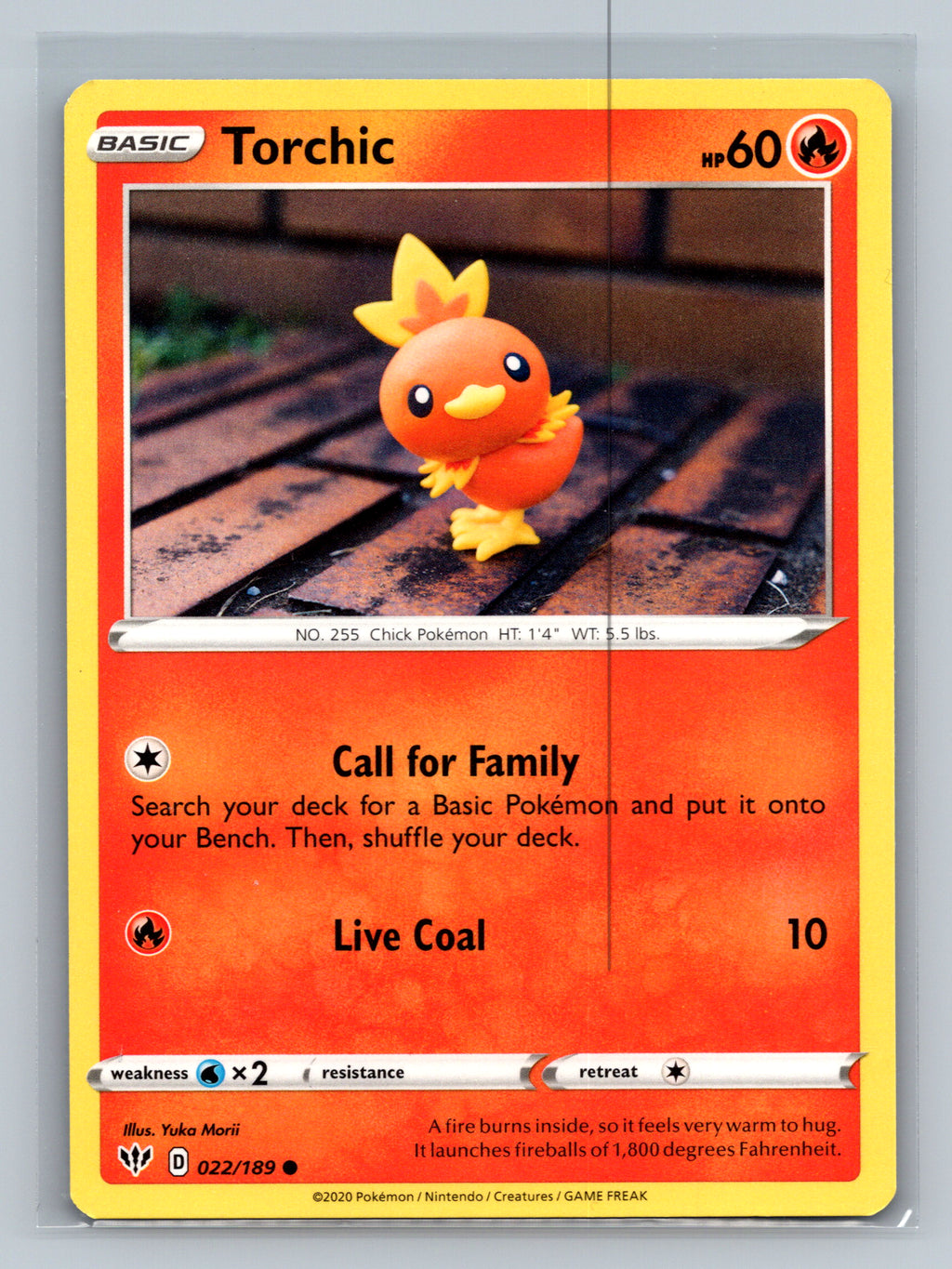 Torchic