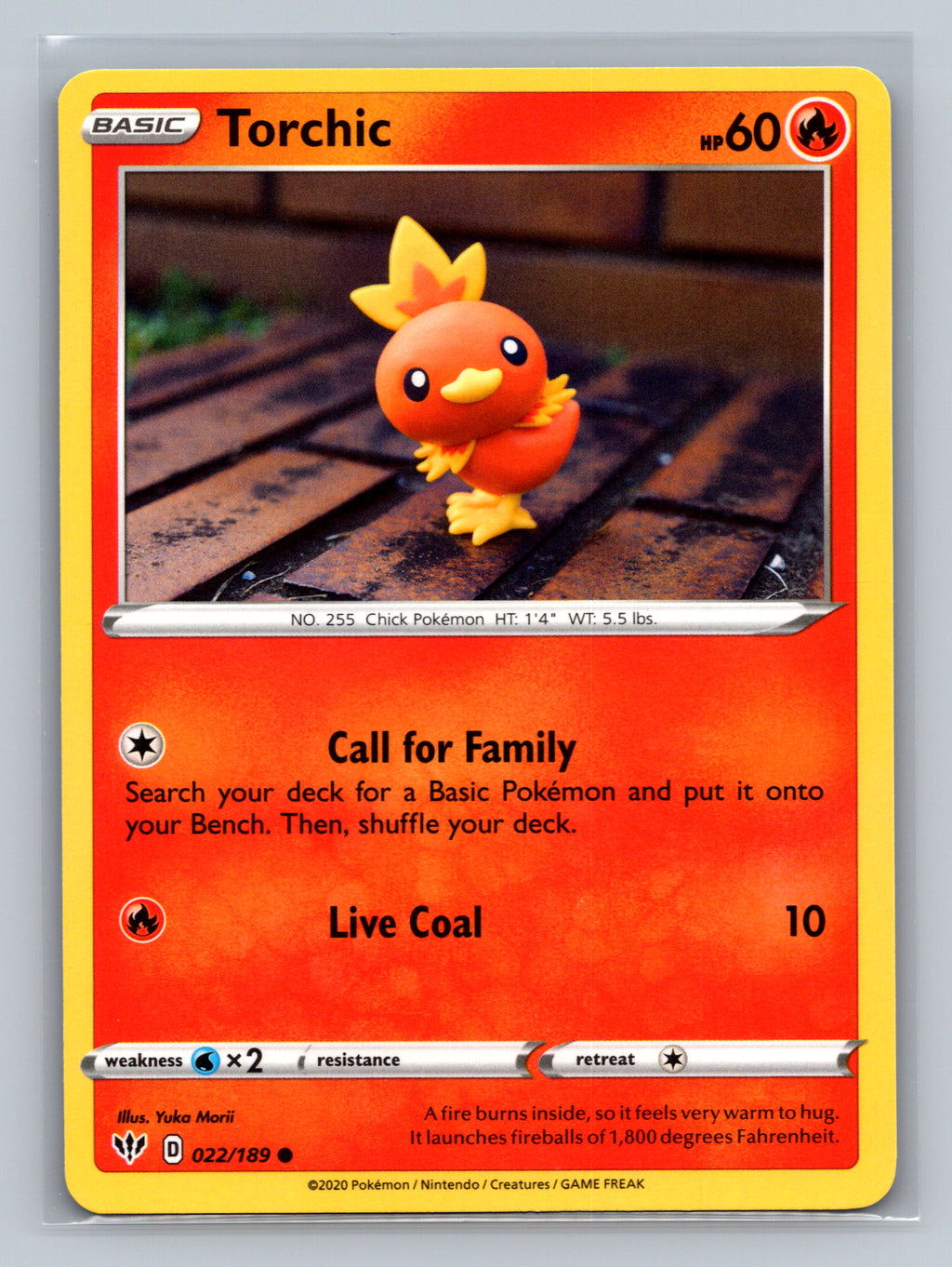 Torchic
