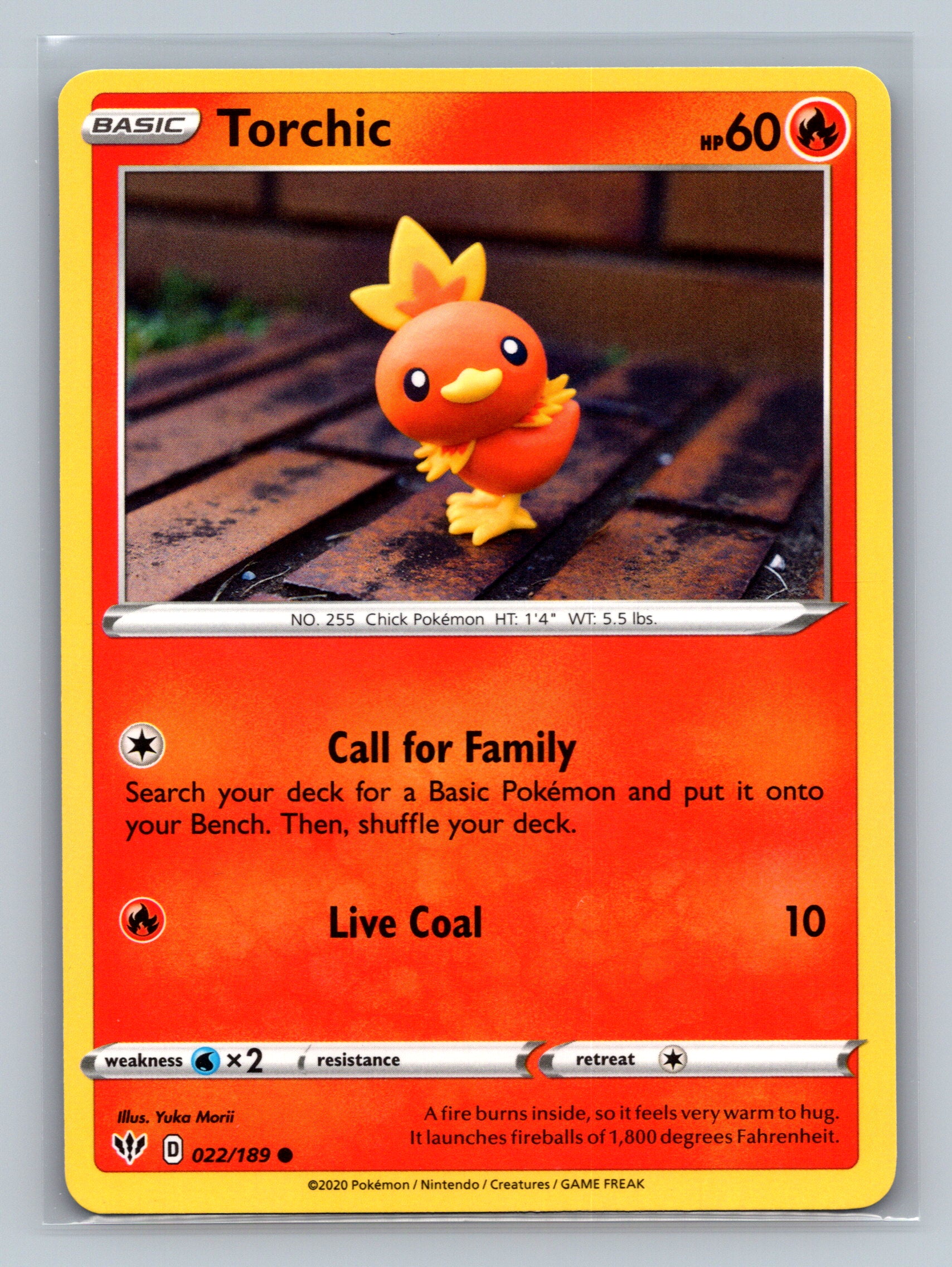 Torchic