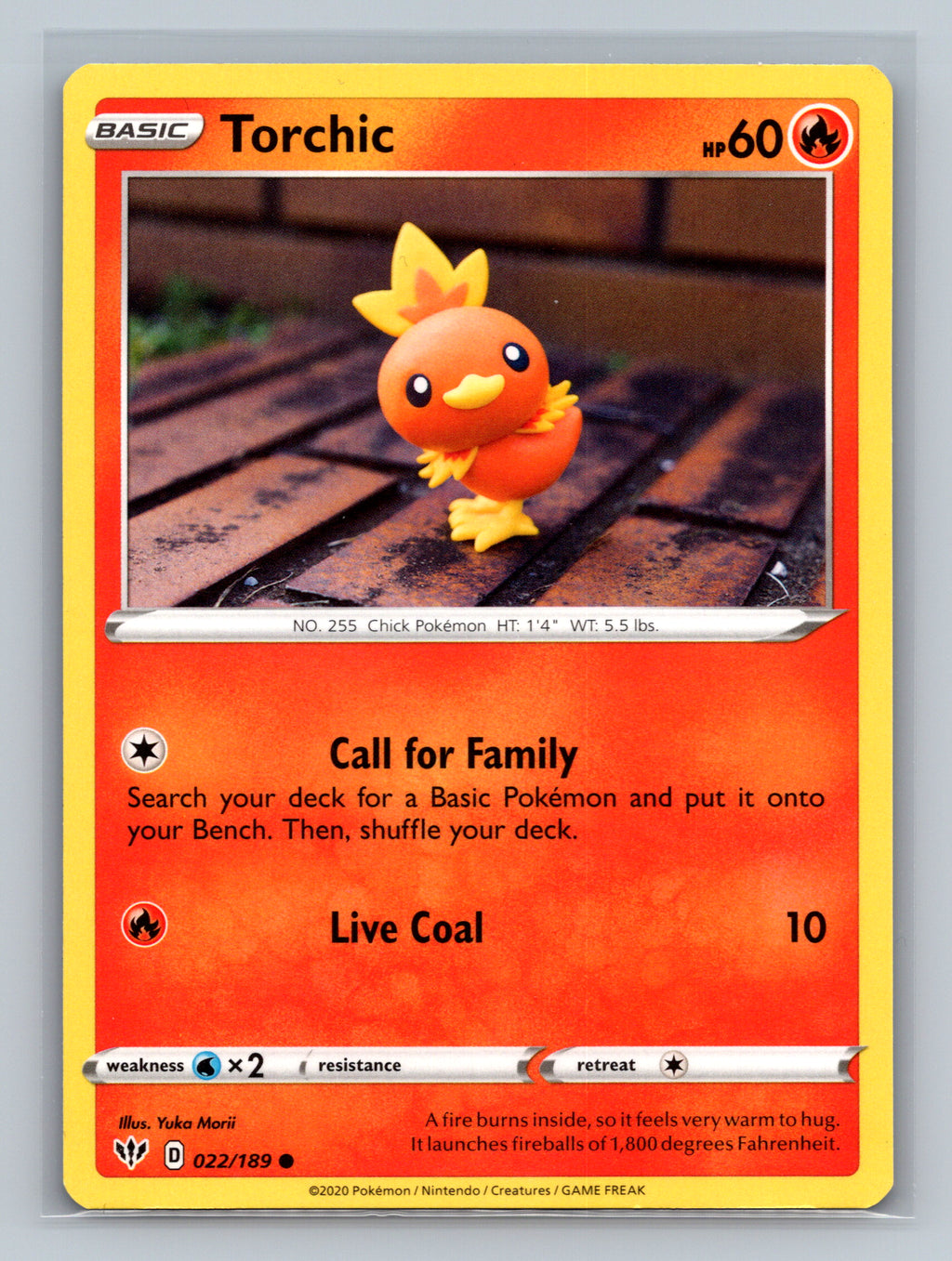 Torchic