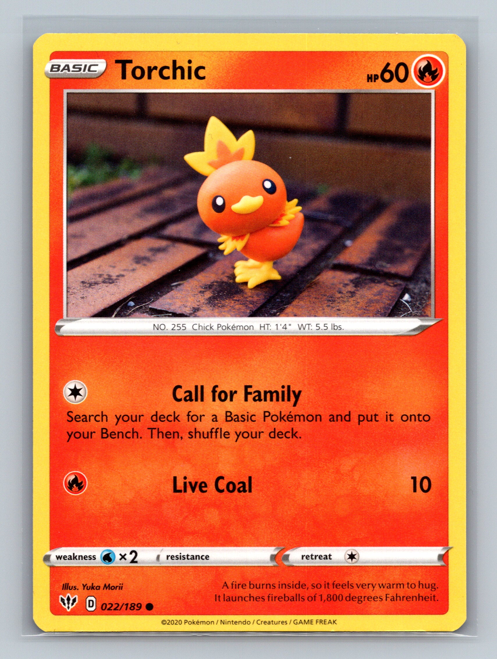 Torchic