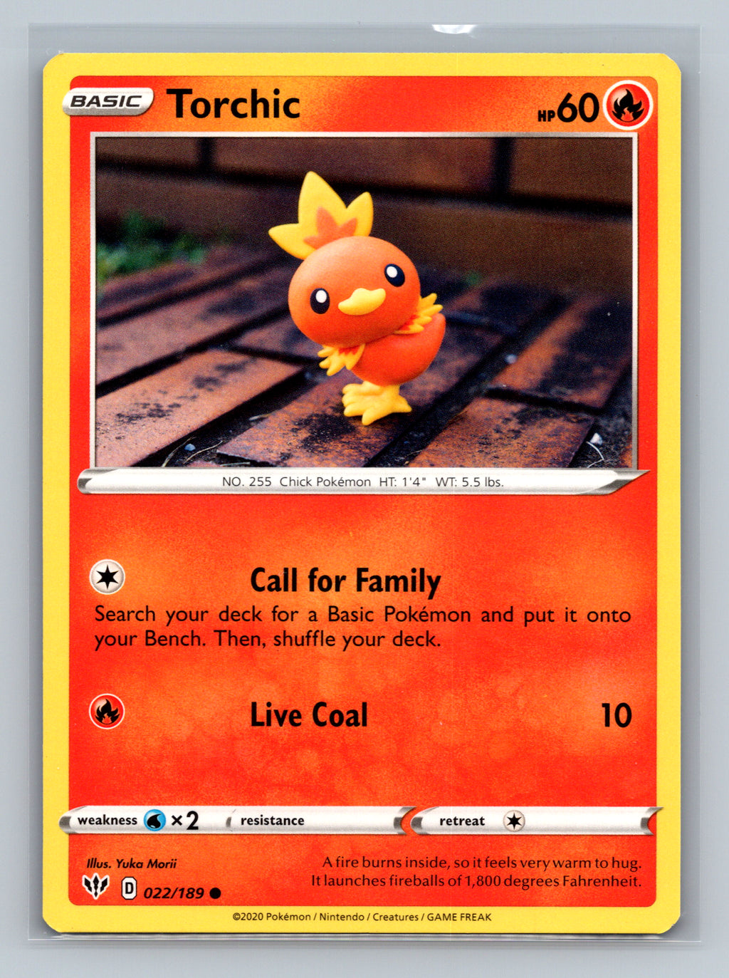 Torchic