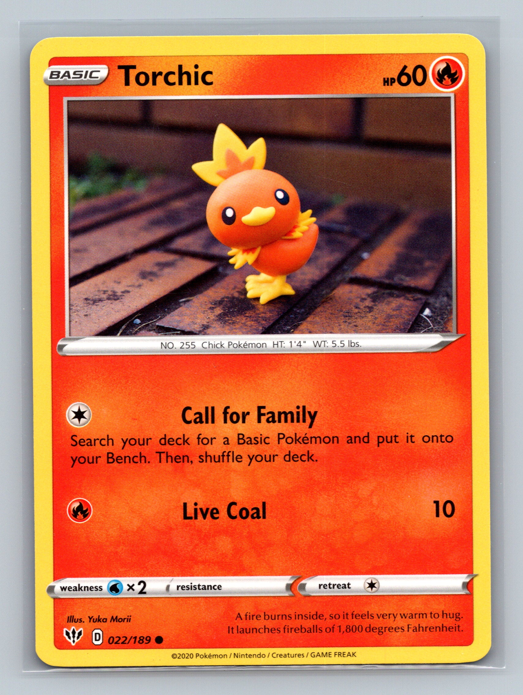 Torchic