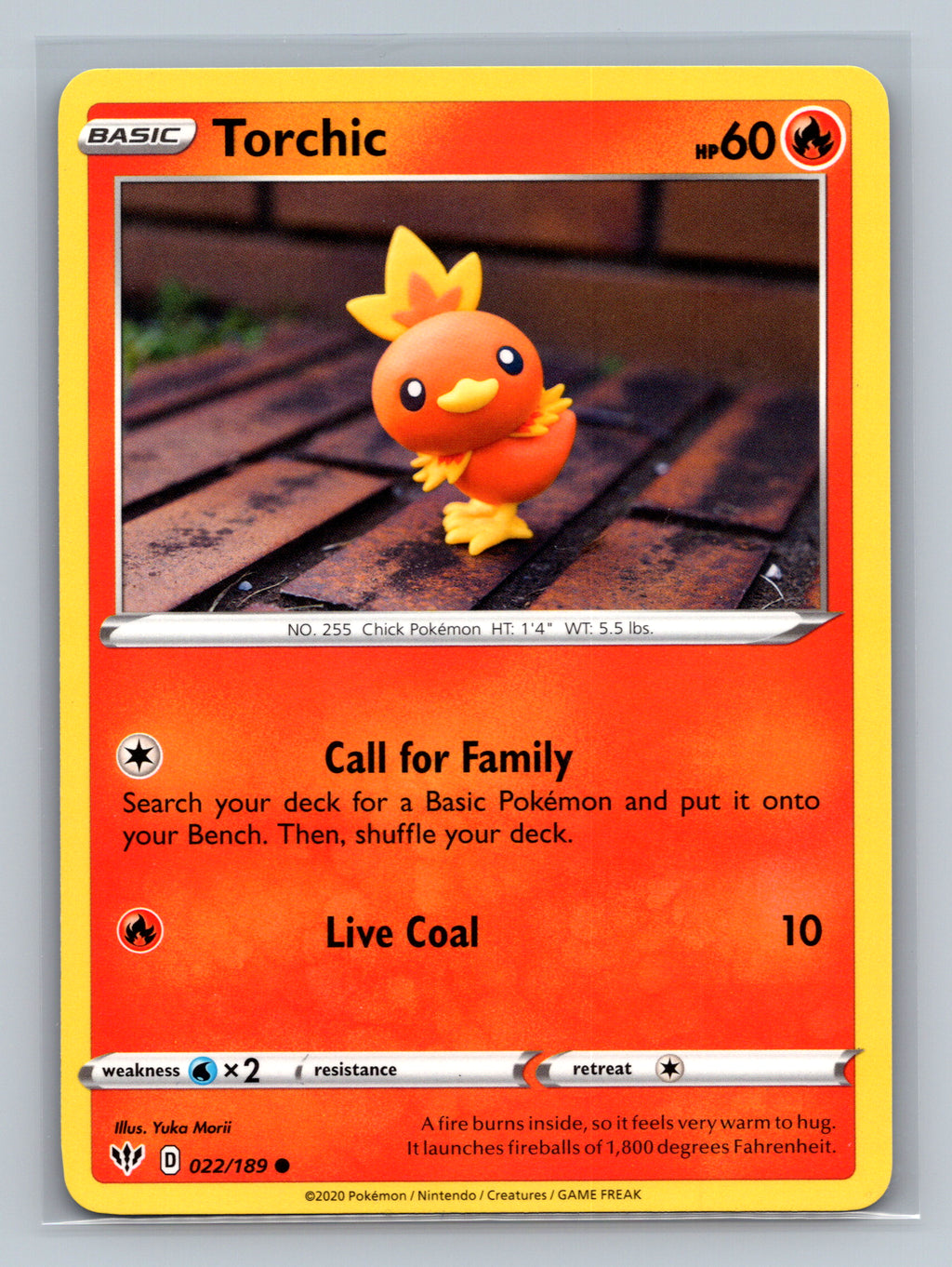 Torchic