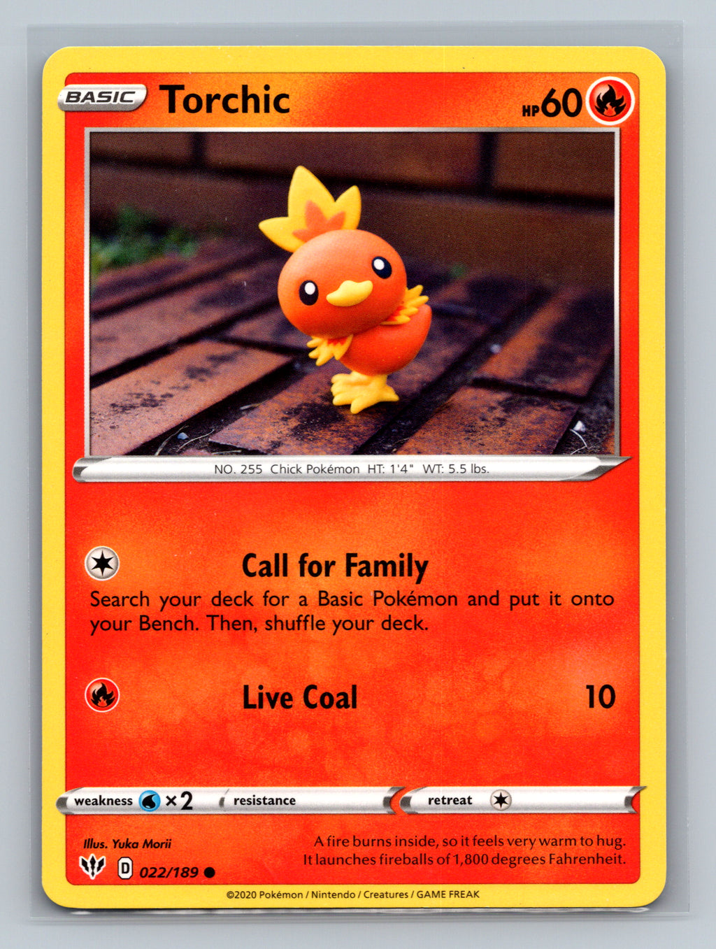 Torchic