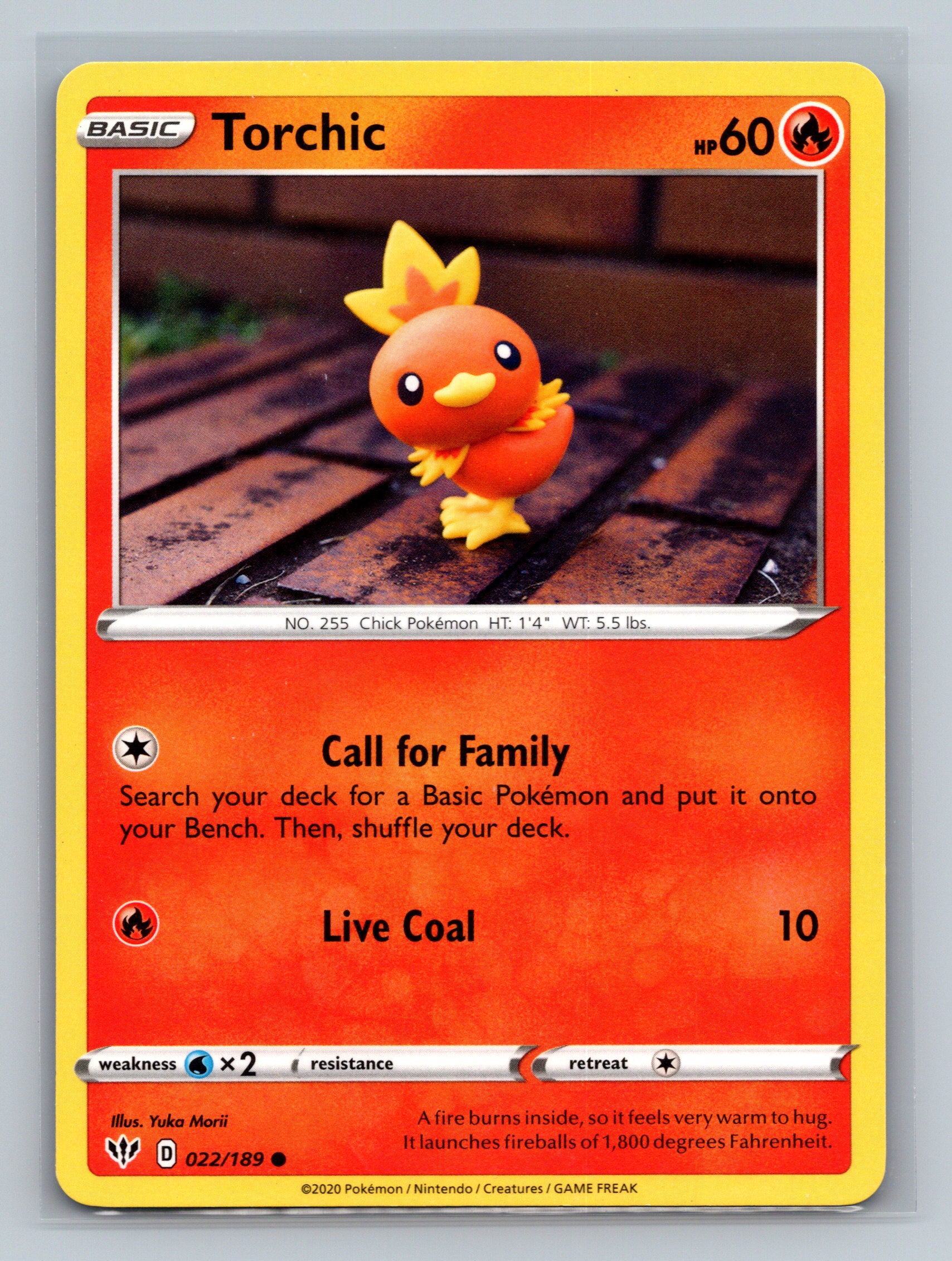 Torchic