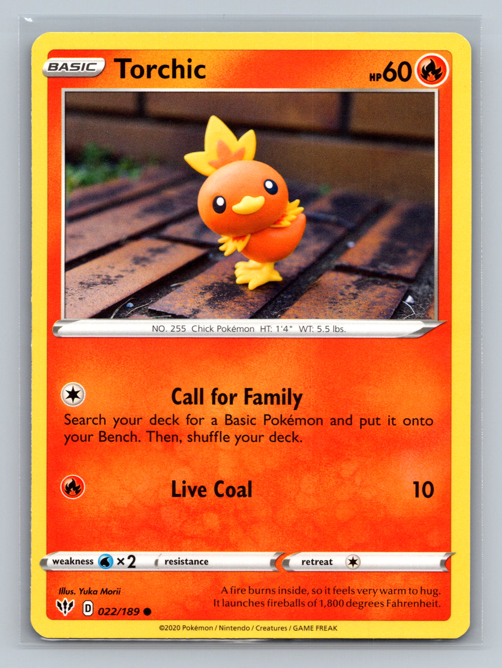 Torchic