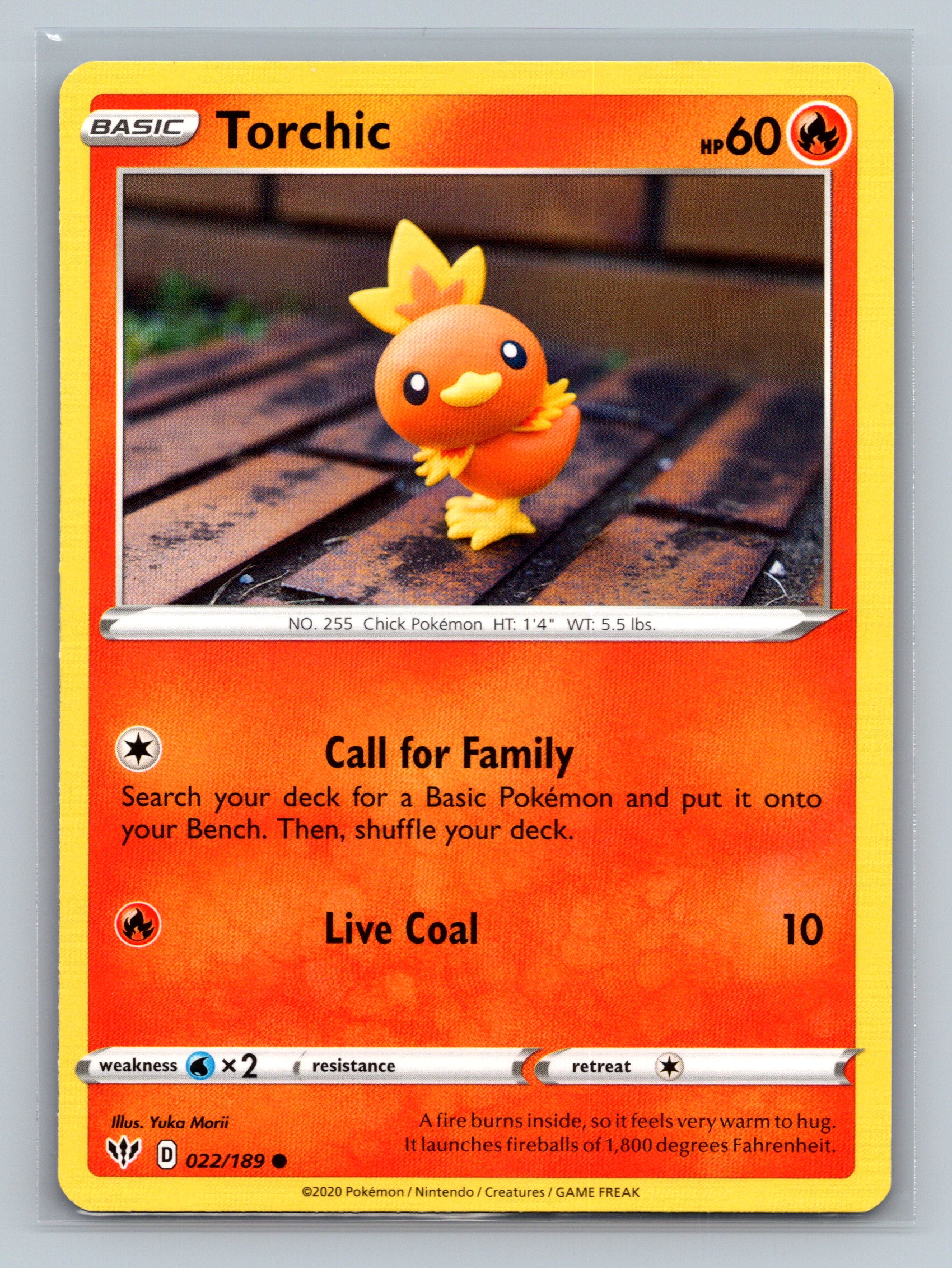 Torchic