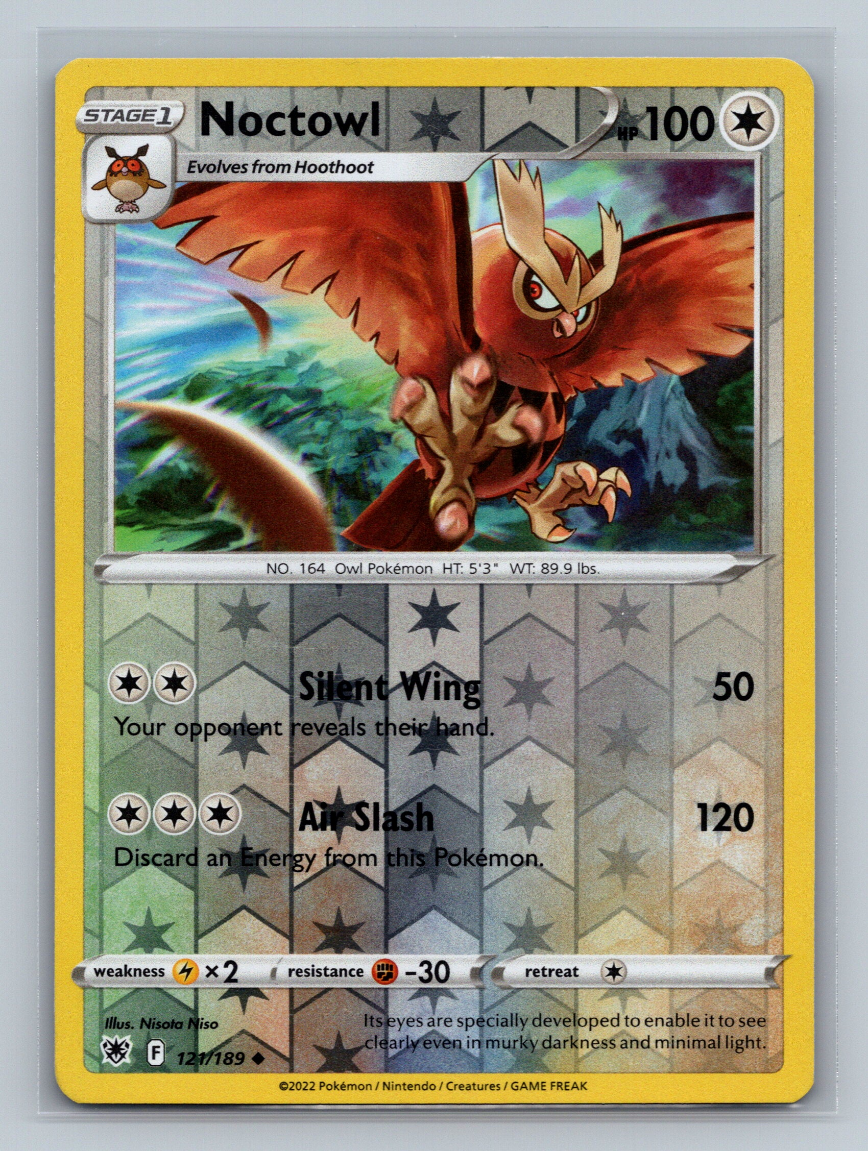 Noctowl