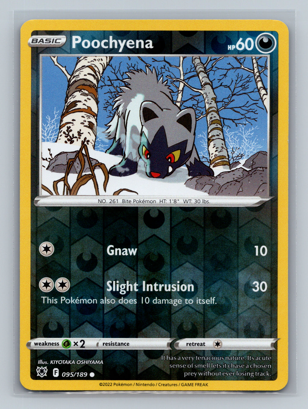 Poochyena