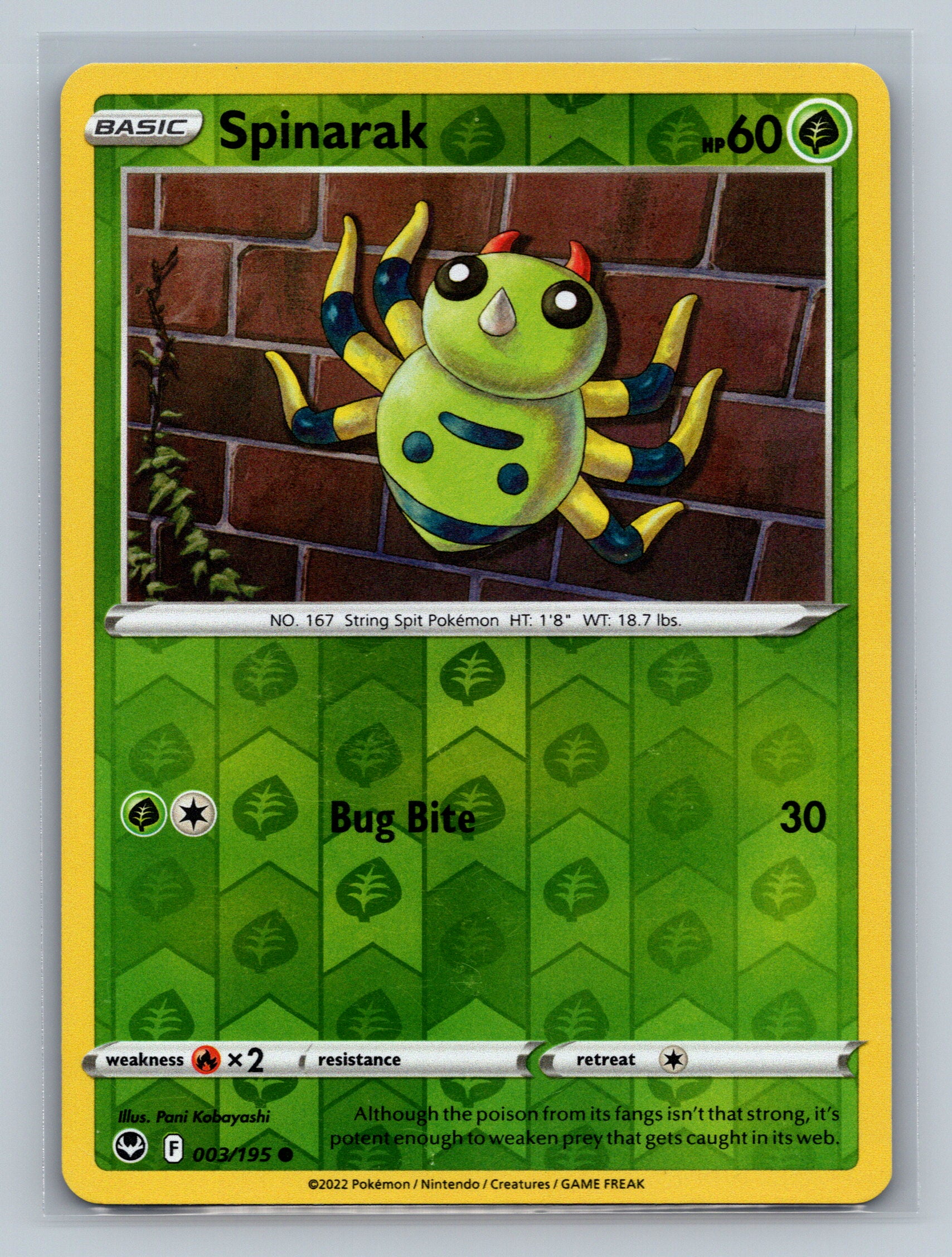 Spinarak