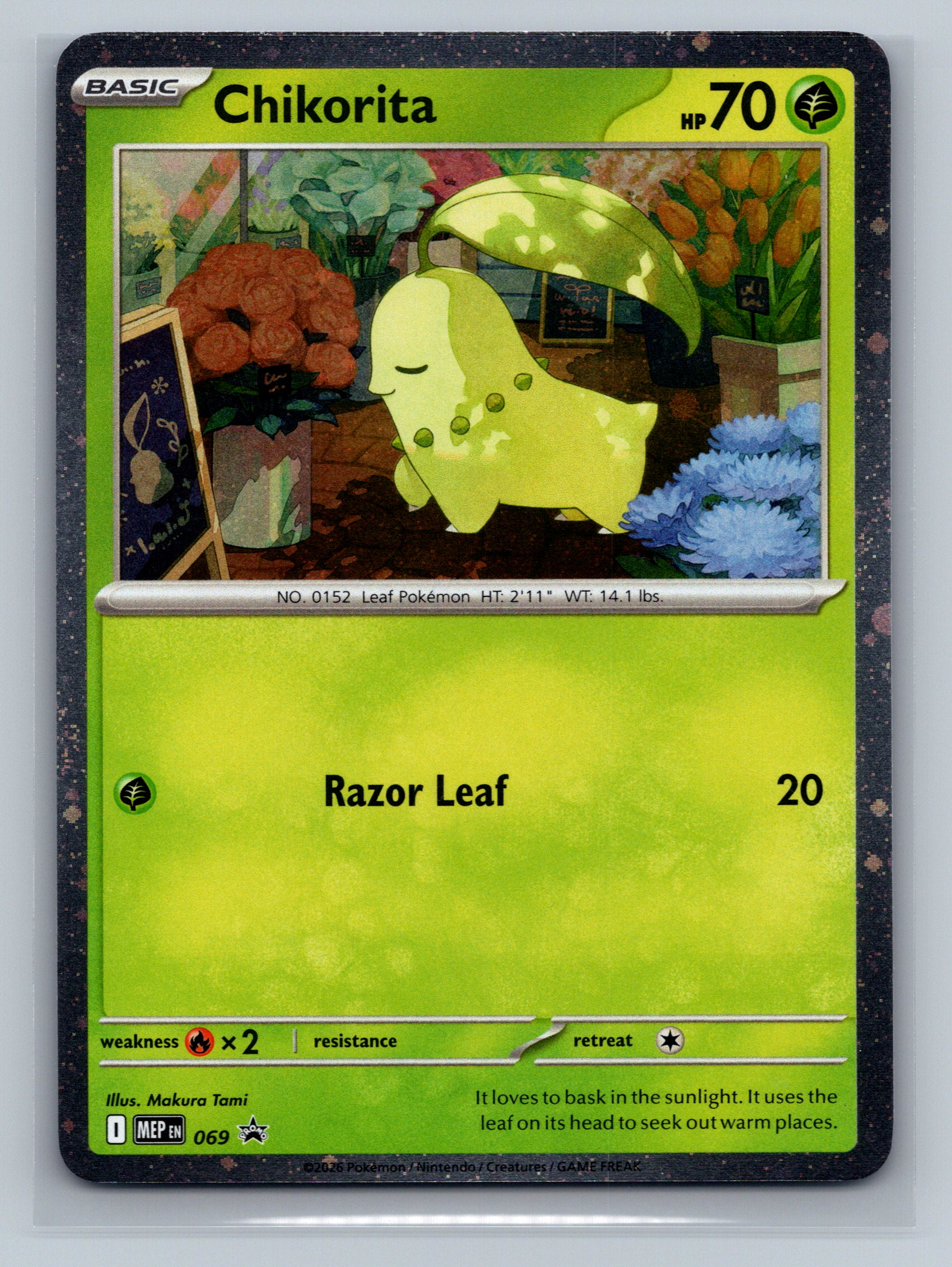 Chikorita (Cosmos Holo)