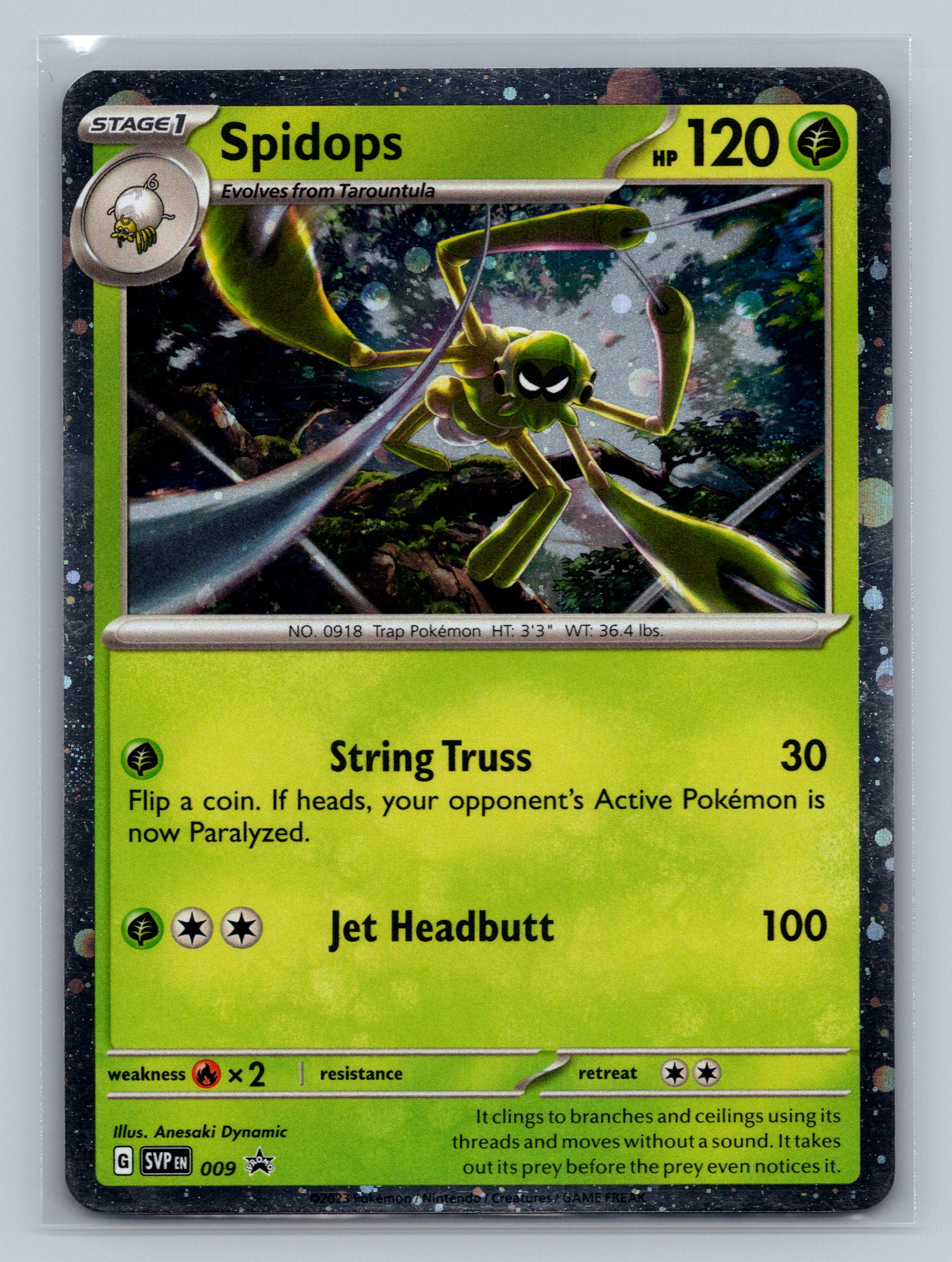 Spidops - 009