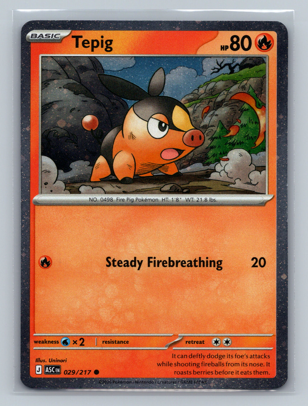 Tepig - 029/217 (Cosmos Holo)