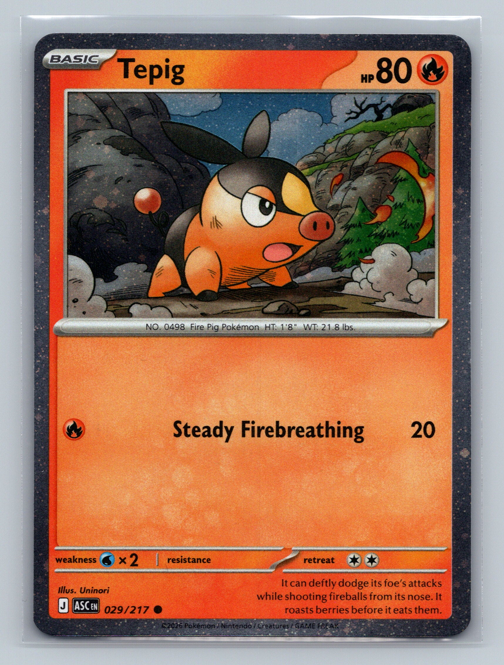 Tepig - 029/217 (Cosmos Holo)