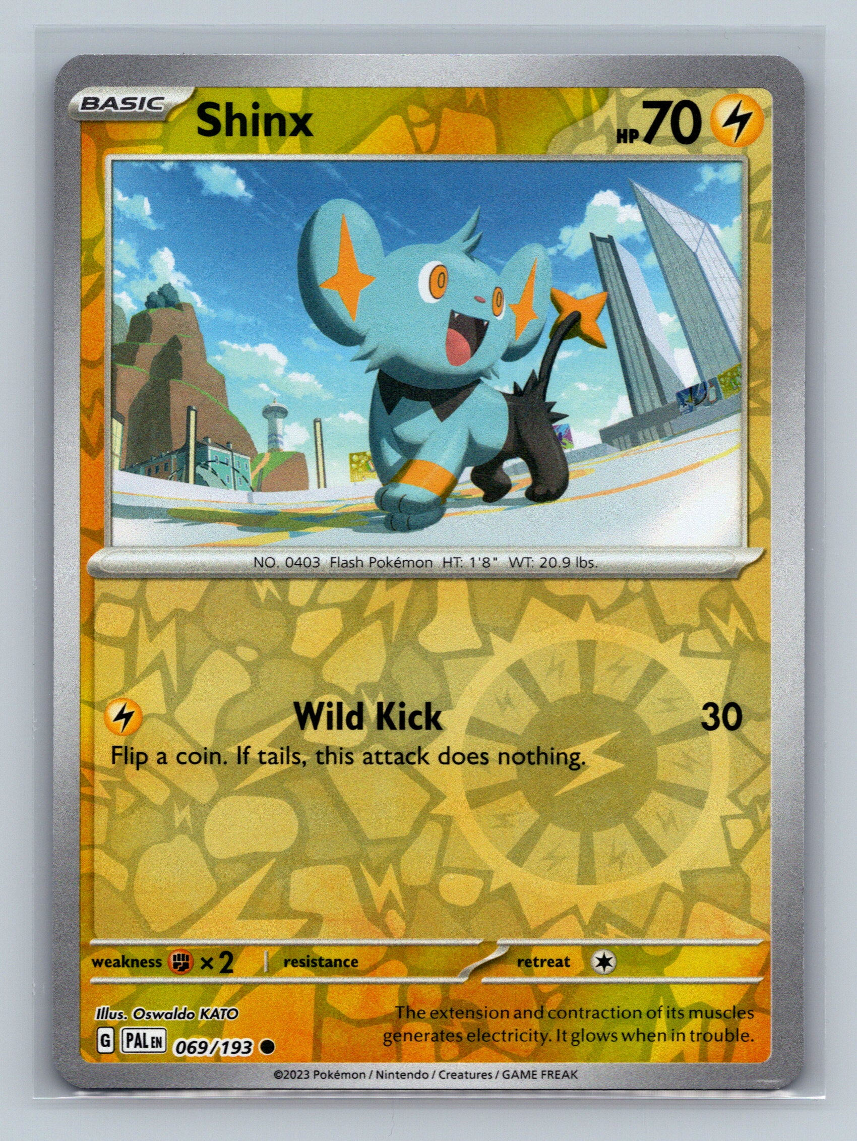 Shinx - 069/193