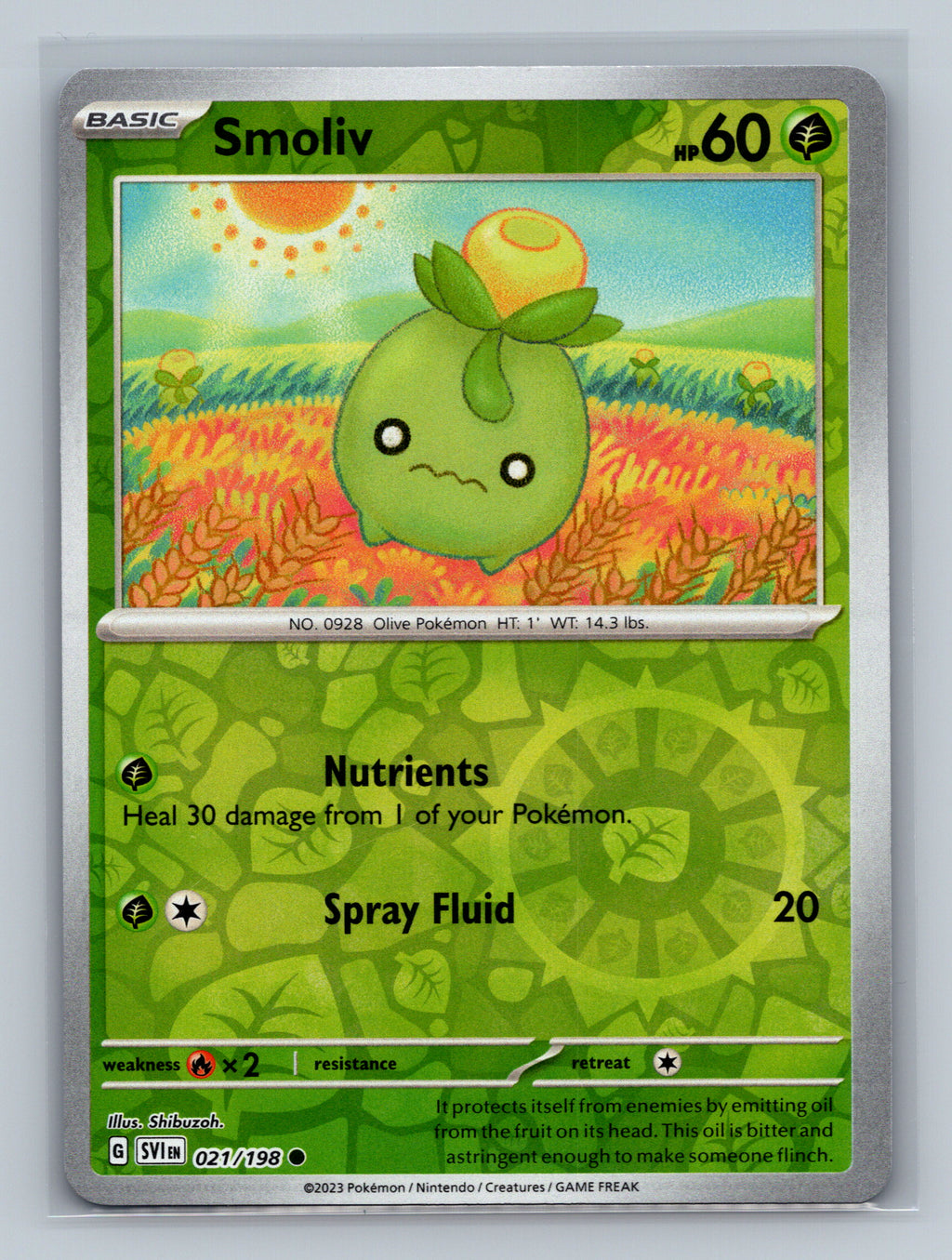 Smoliv - 021/198
