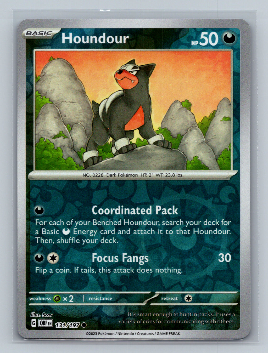 Houndour - 131/197