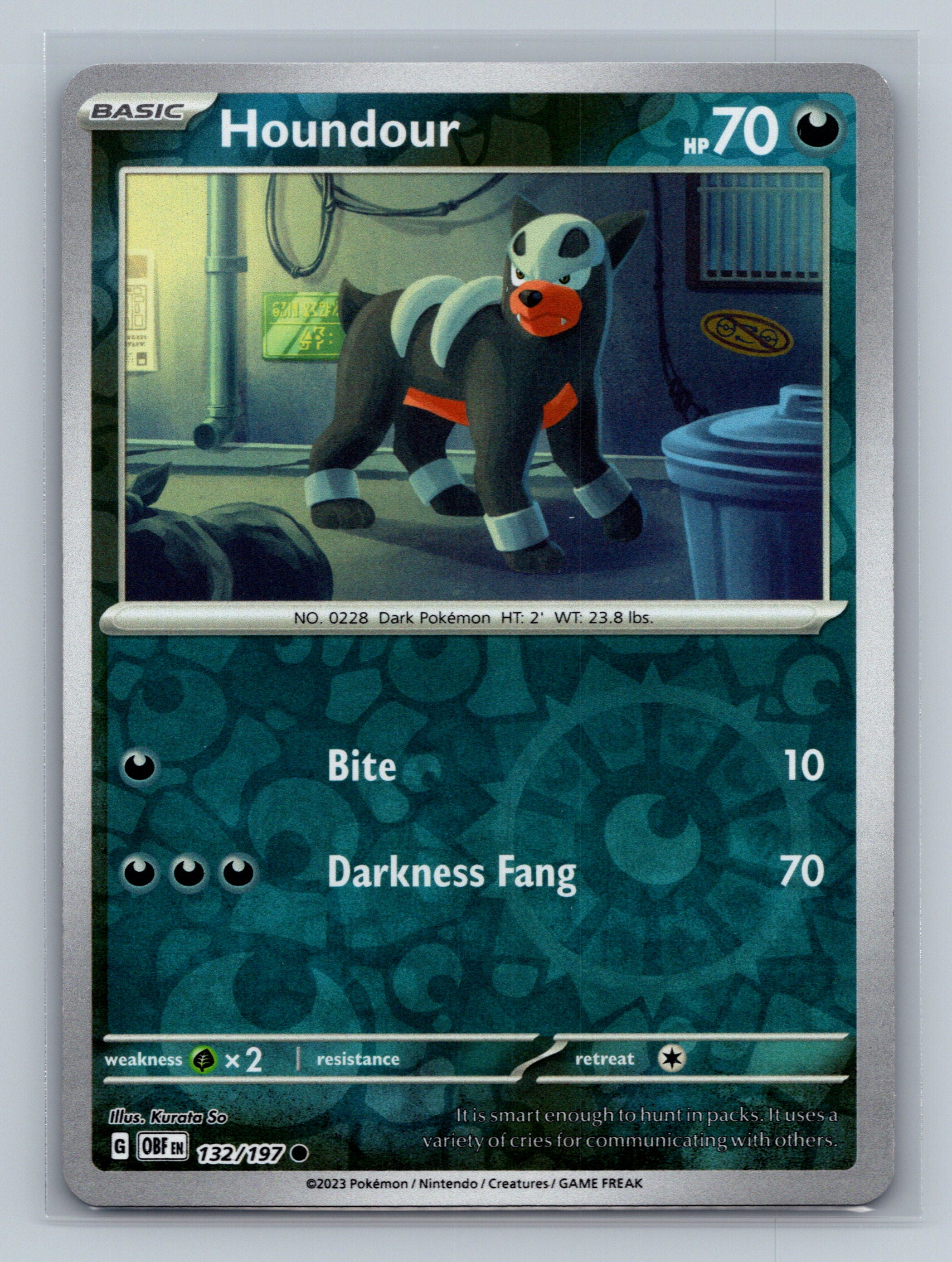 Houndour - 132/197