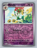 Floette