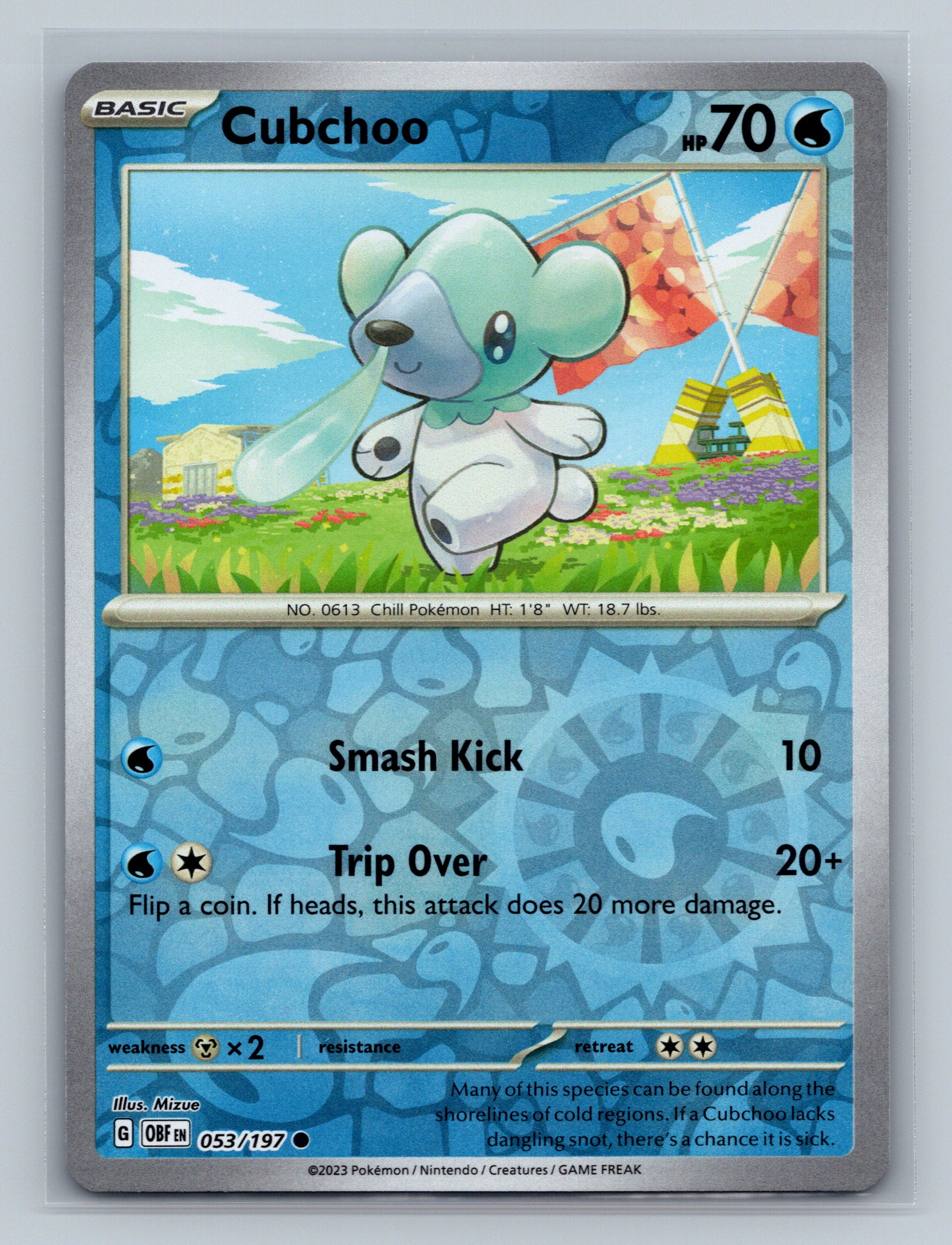 Cubchoo