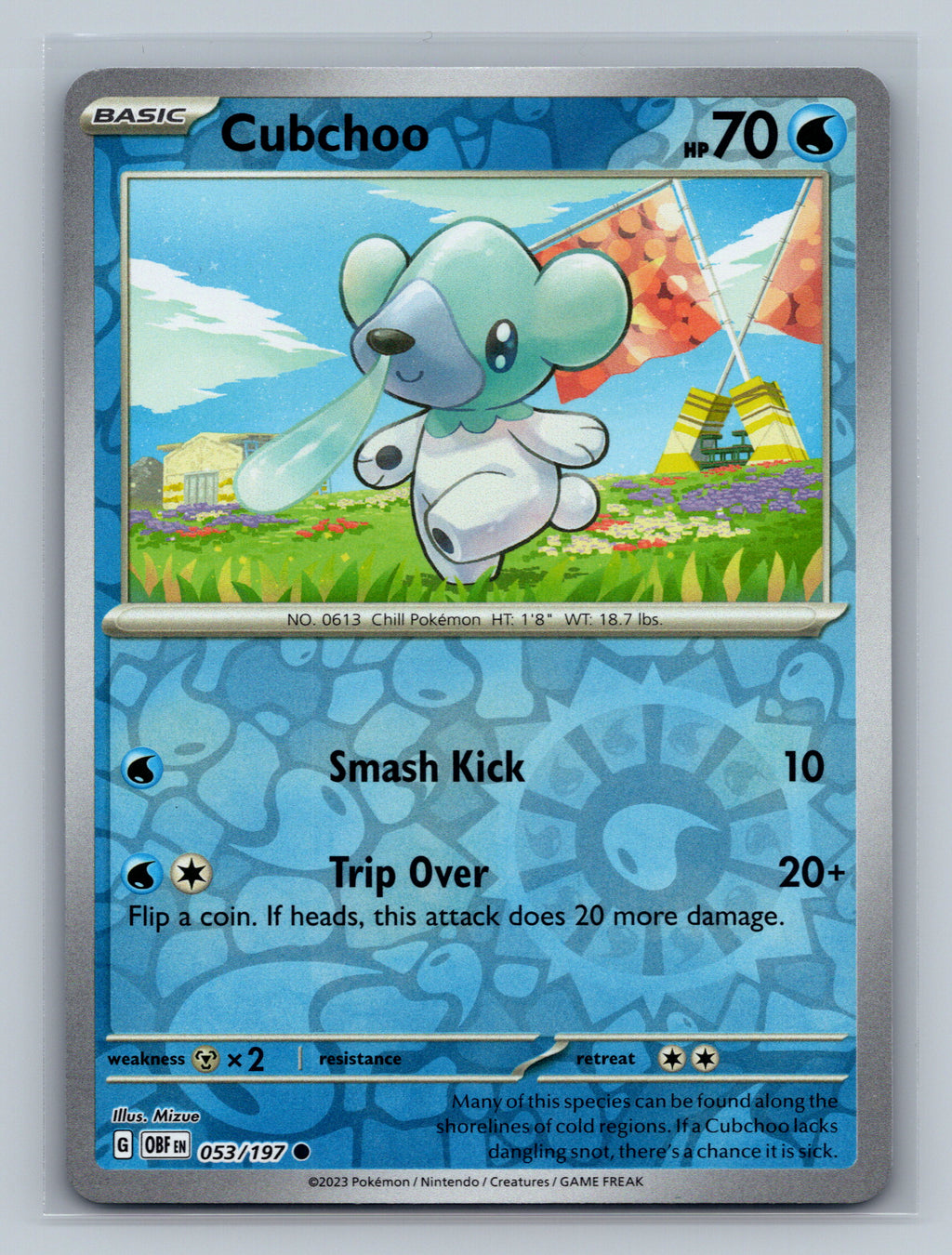 Cubchoo